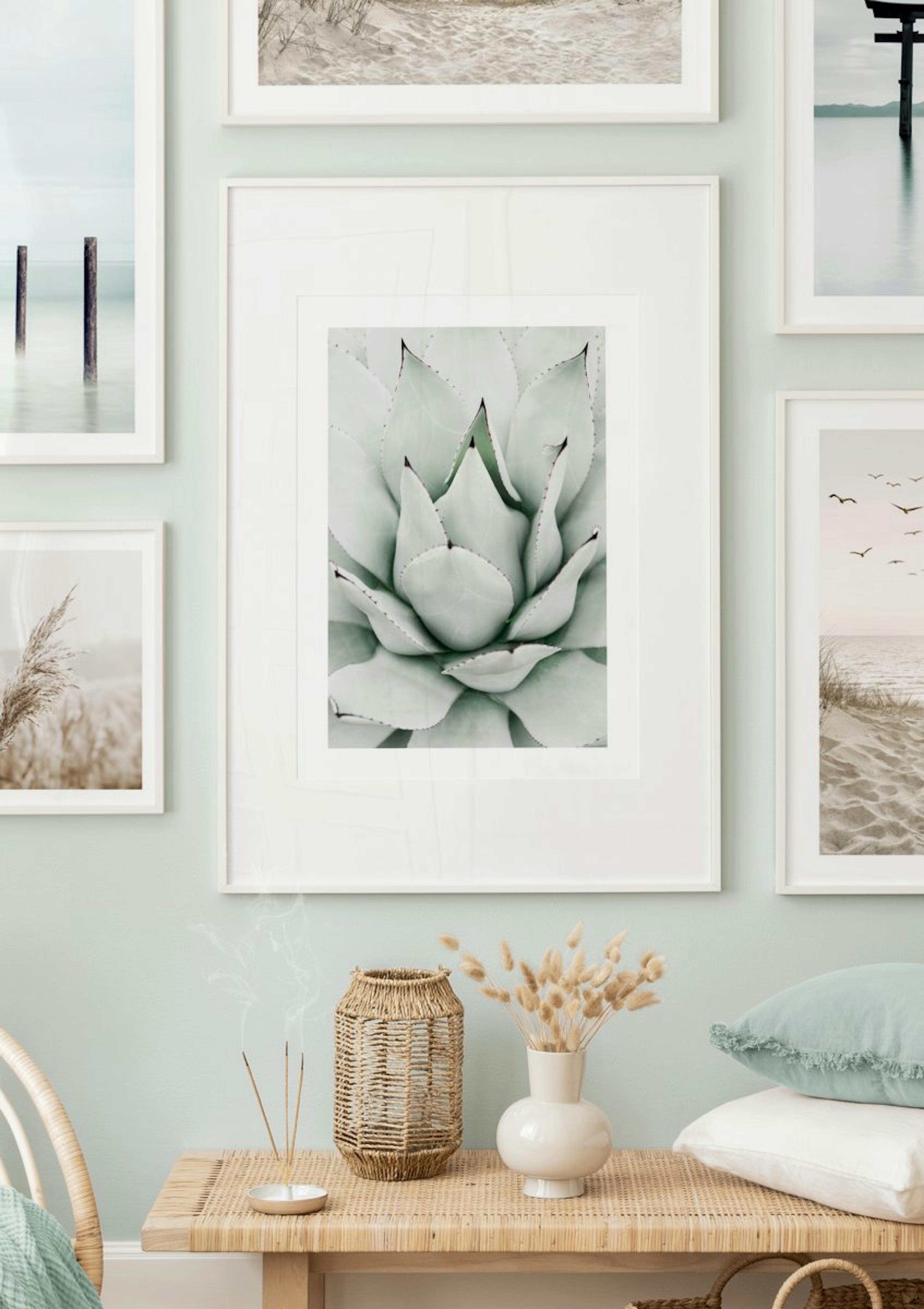 Green Agave Poster thumbnail