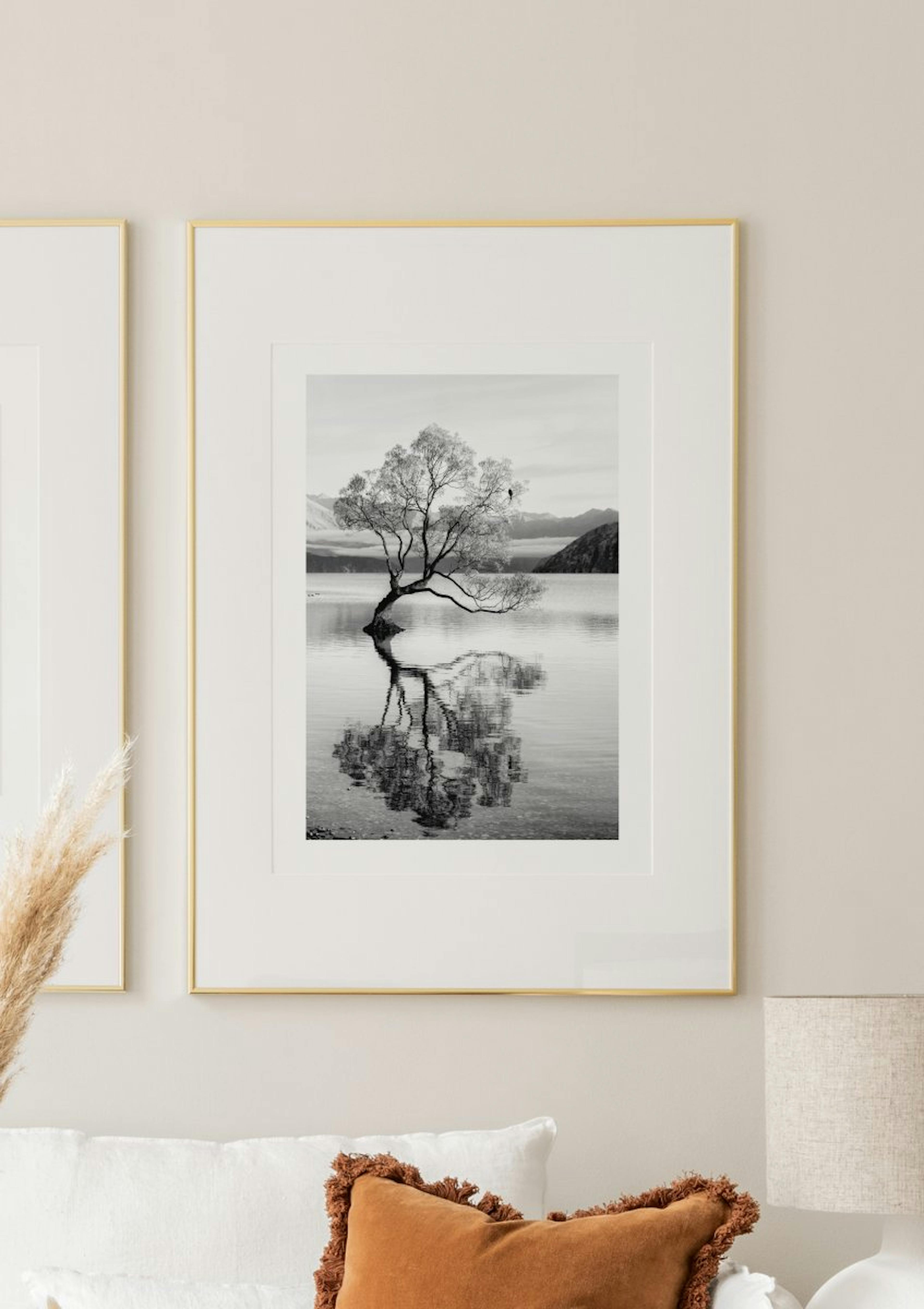 Tree Reflection Poster thumbnail