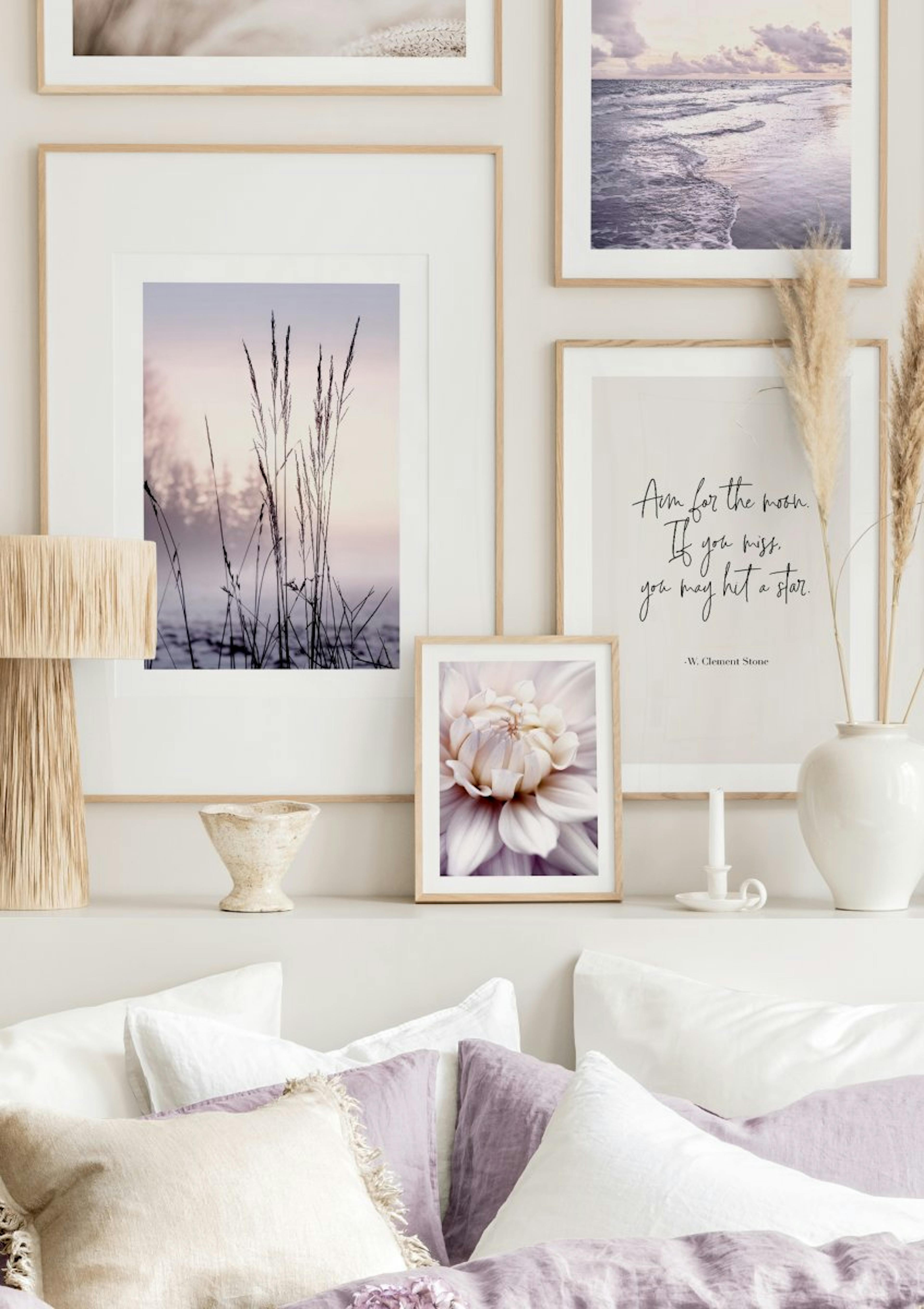 Grass in Sunset Poster thumbnail
