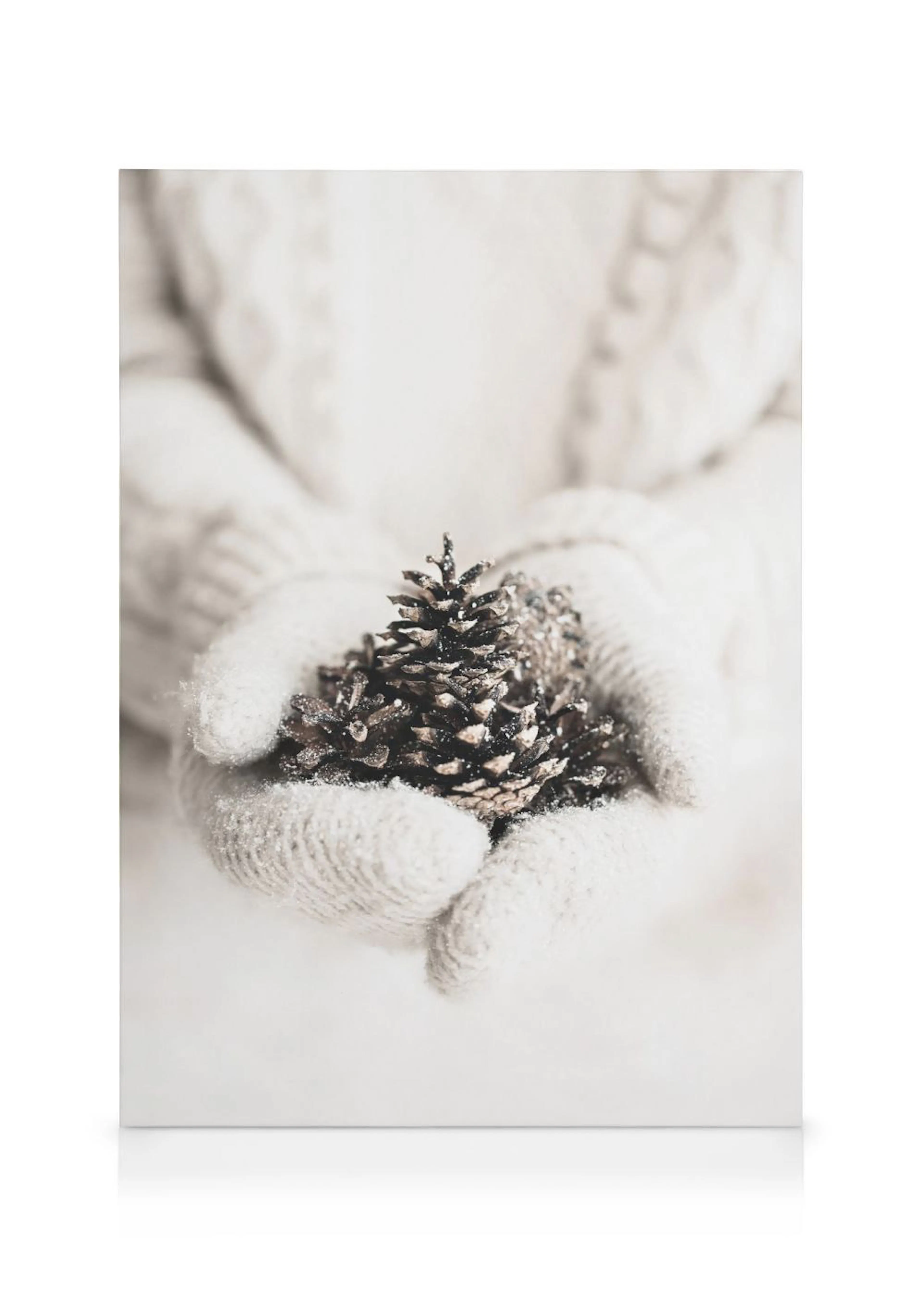 A canvas showing a pair of hands in white knitted mittens holding several snow-dusted pine cones.
