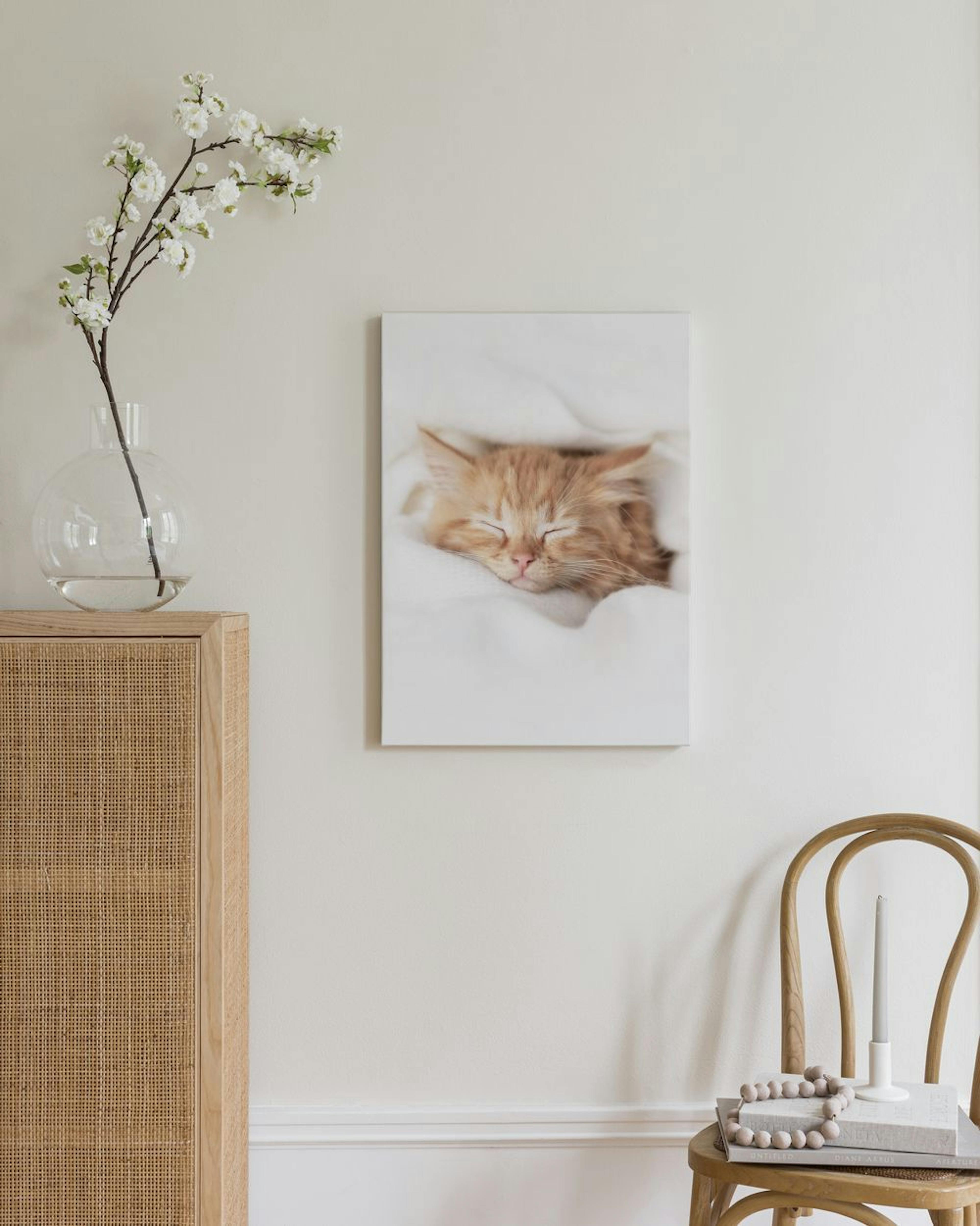 Sleepy Kitten Toile thumbnail
