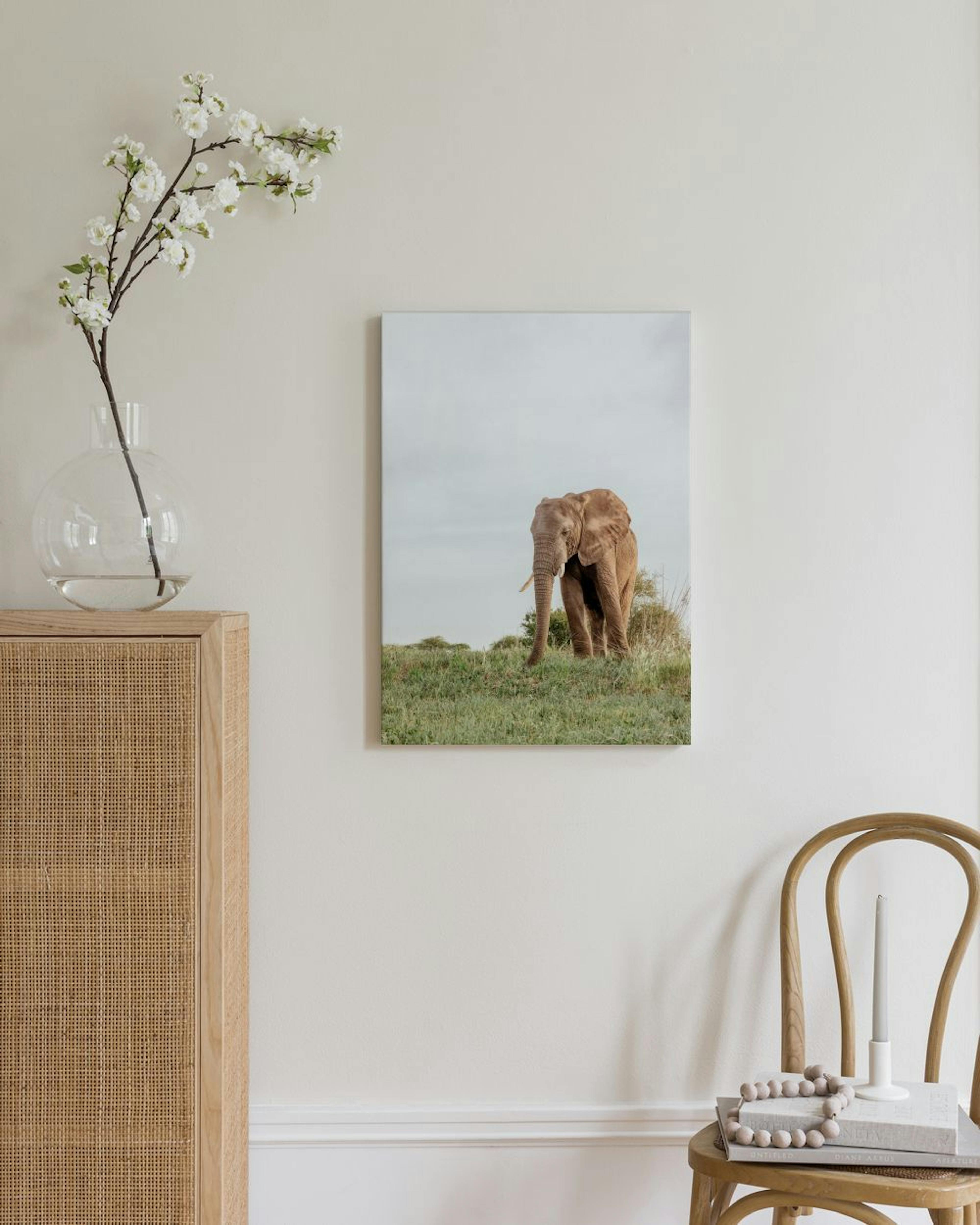 Safari Elephant Canvas print thumbnail
