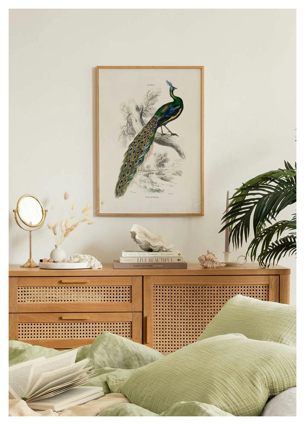 Peafowl Portrait Poster (50x70 cm) - Poster Store