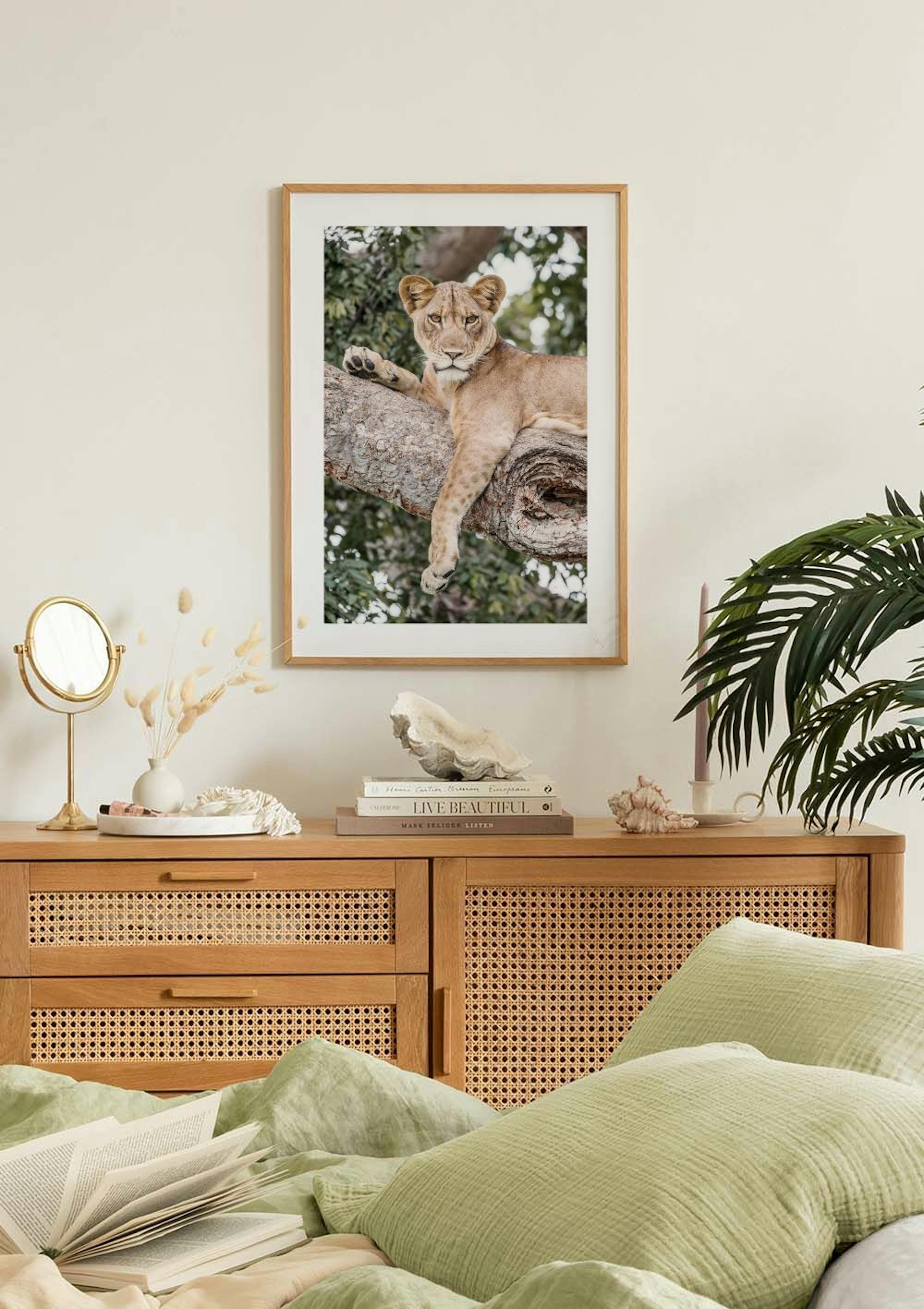 Relaxing Lioness Poster thumbnail