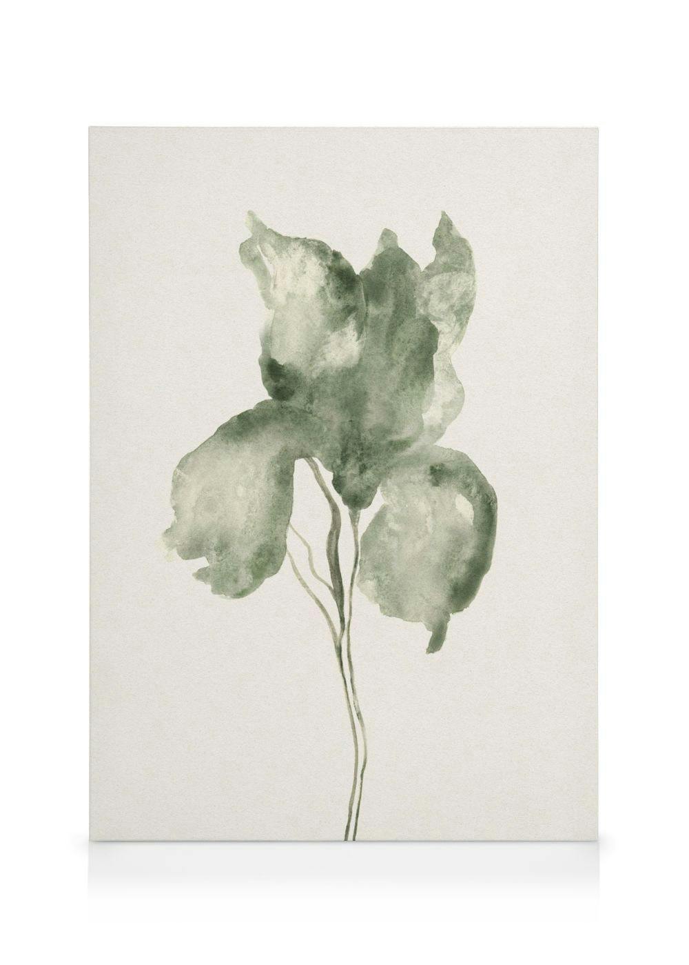 A minimalist canvas with a single green iris flower watercolor painting on a light beige background.