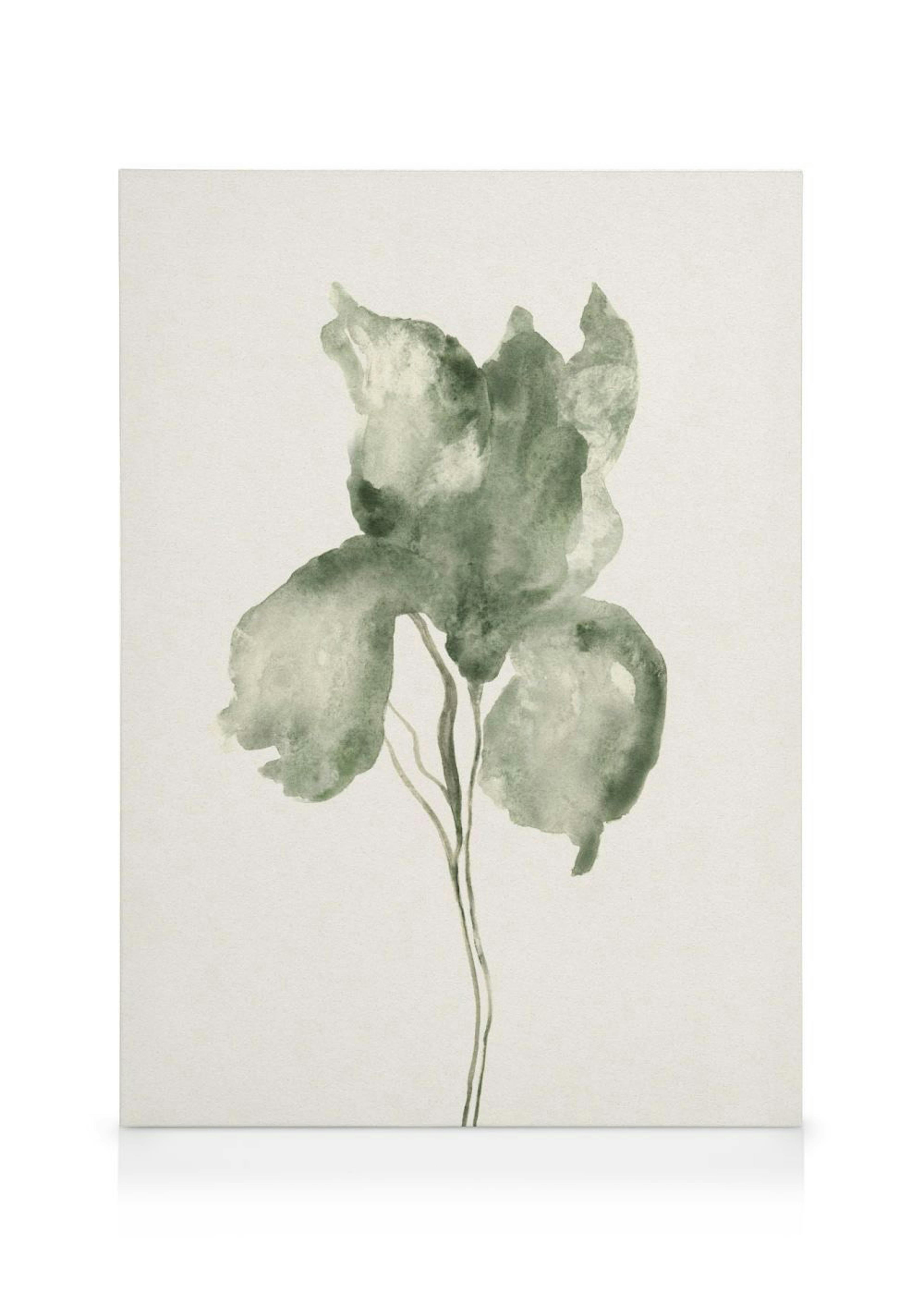 Watercolor Blossom Canvastavla 0