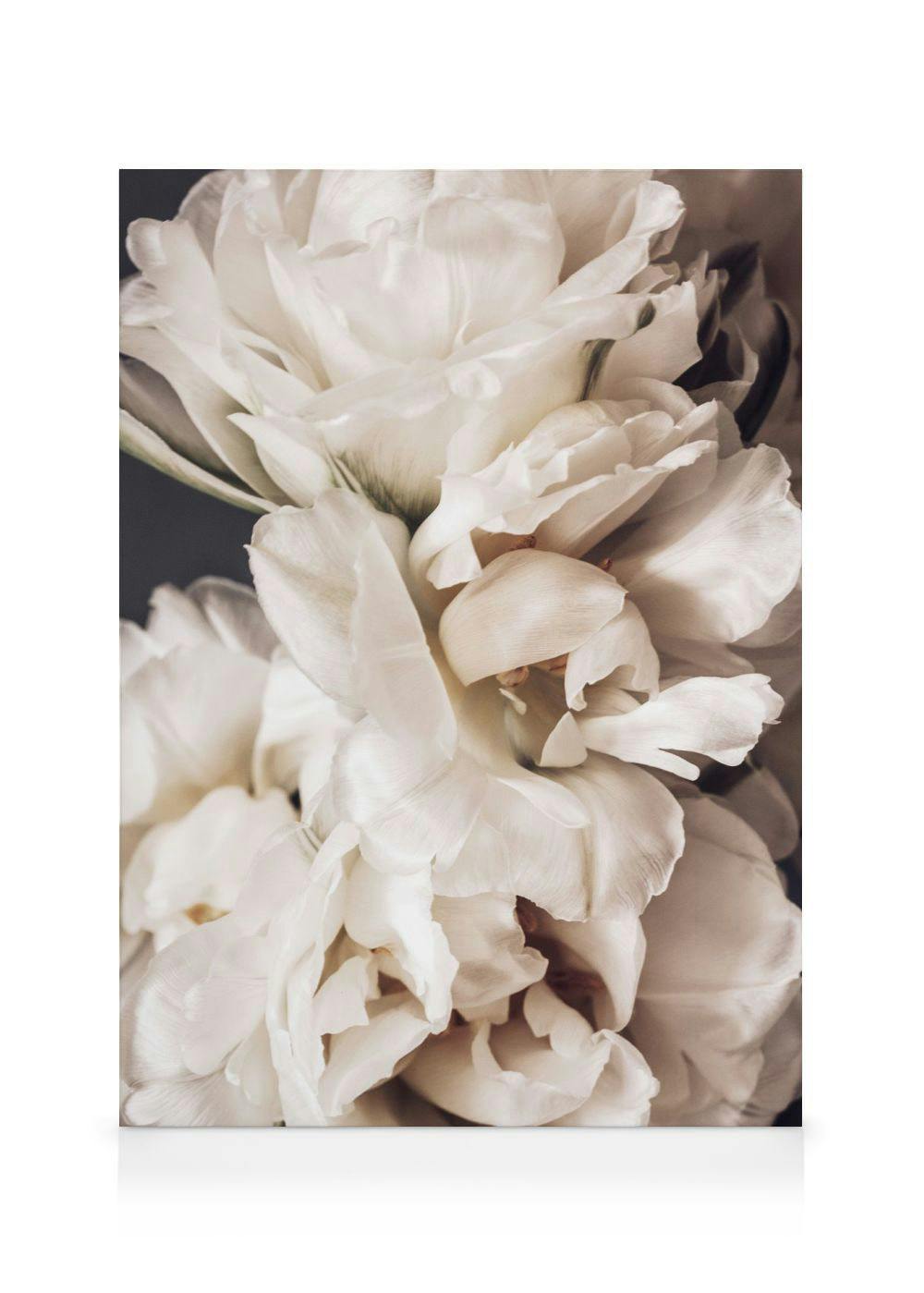 Canvas Prints - Peonies in Bloom Canvas print (30x40 cm - Black Frame) - Poster Store