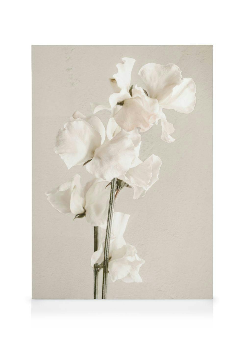 In Full Bloom Canvas (30x40 cm - Fotolijst Eiken) - Poster Store