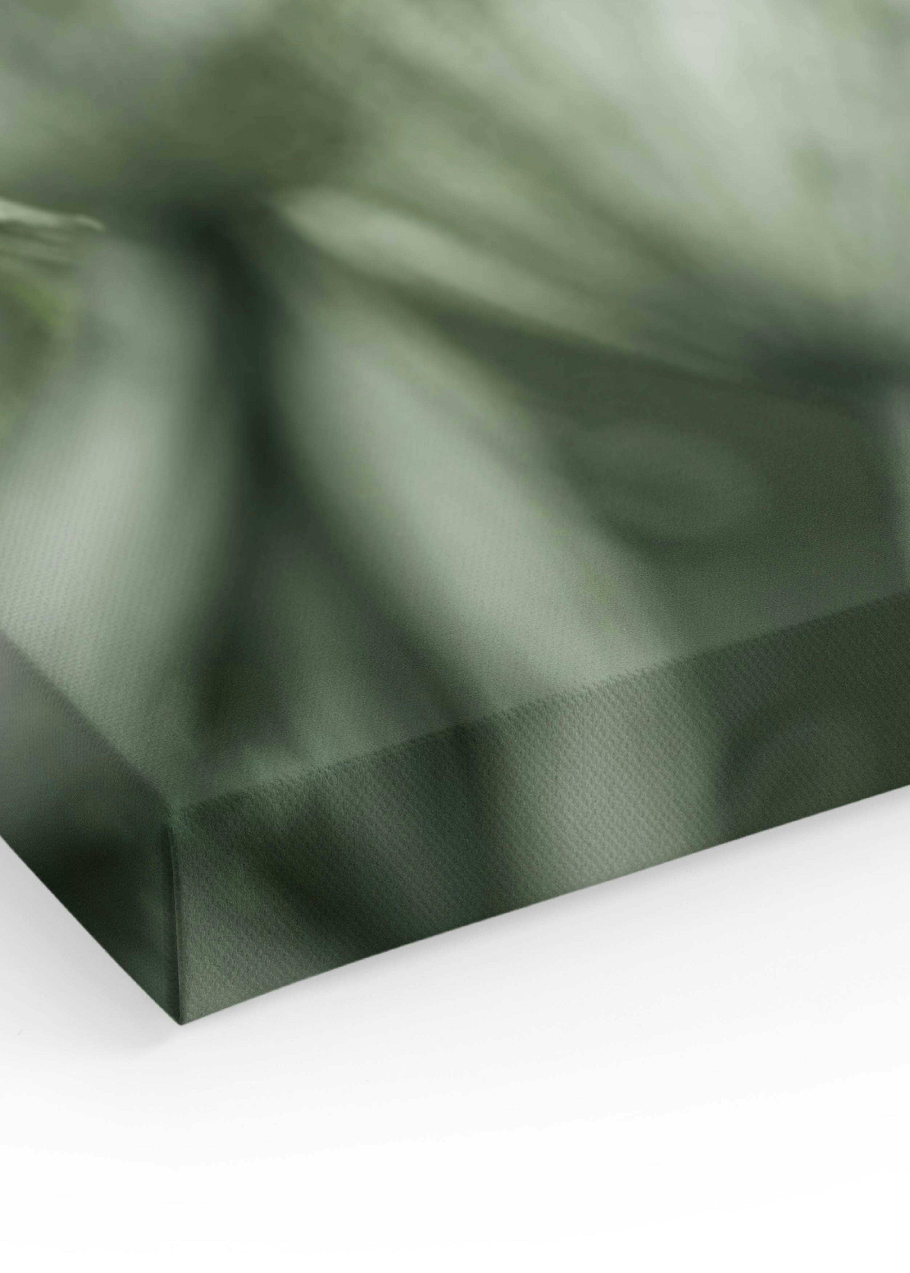 Blooming in Green Canvas print thumbnail