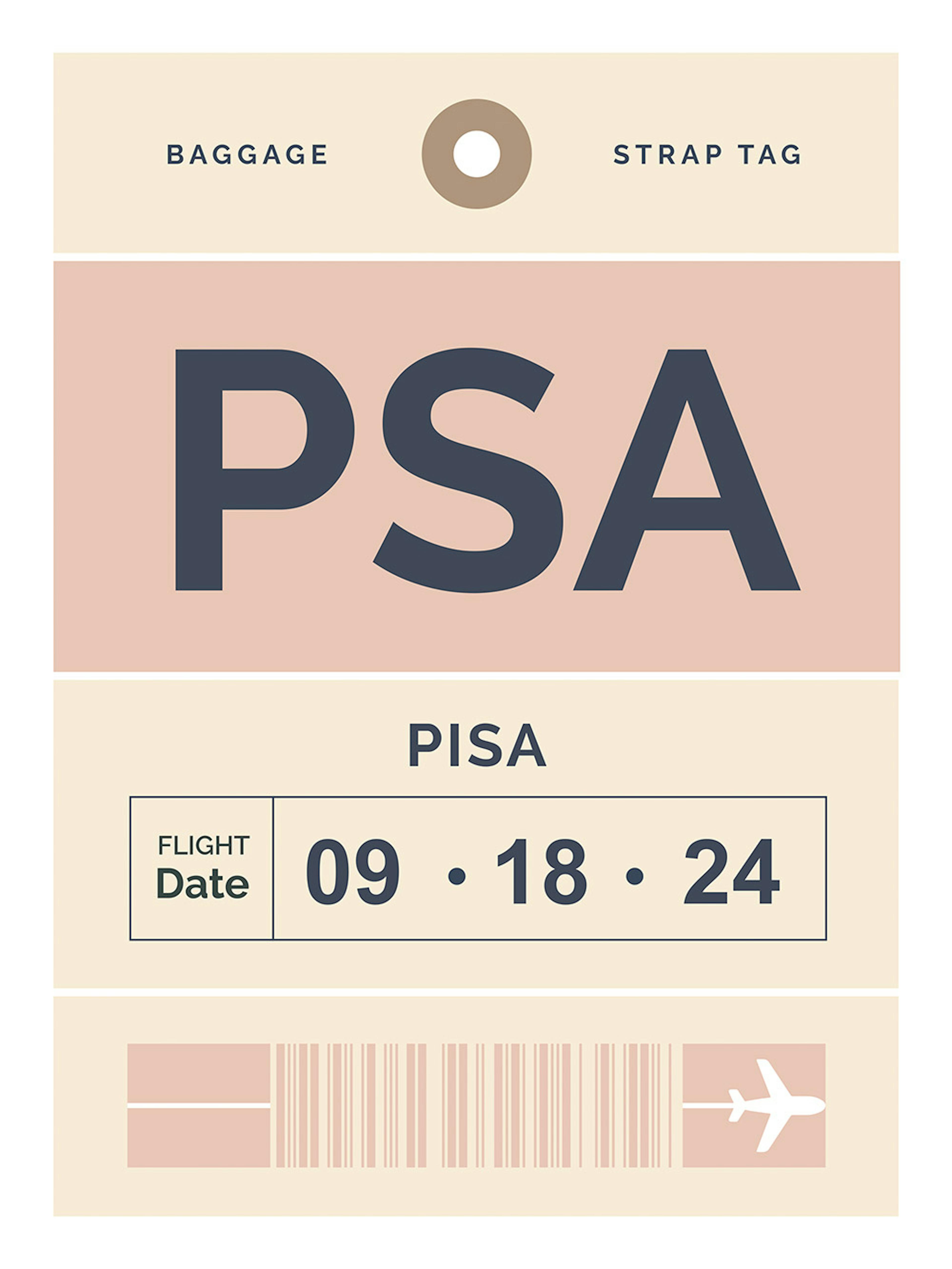 Baggage Tag No1 Pink Personal Poster thumbnail