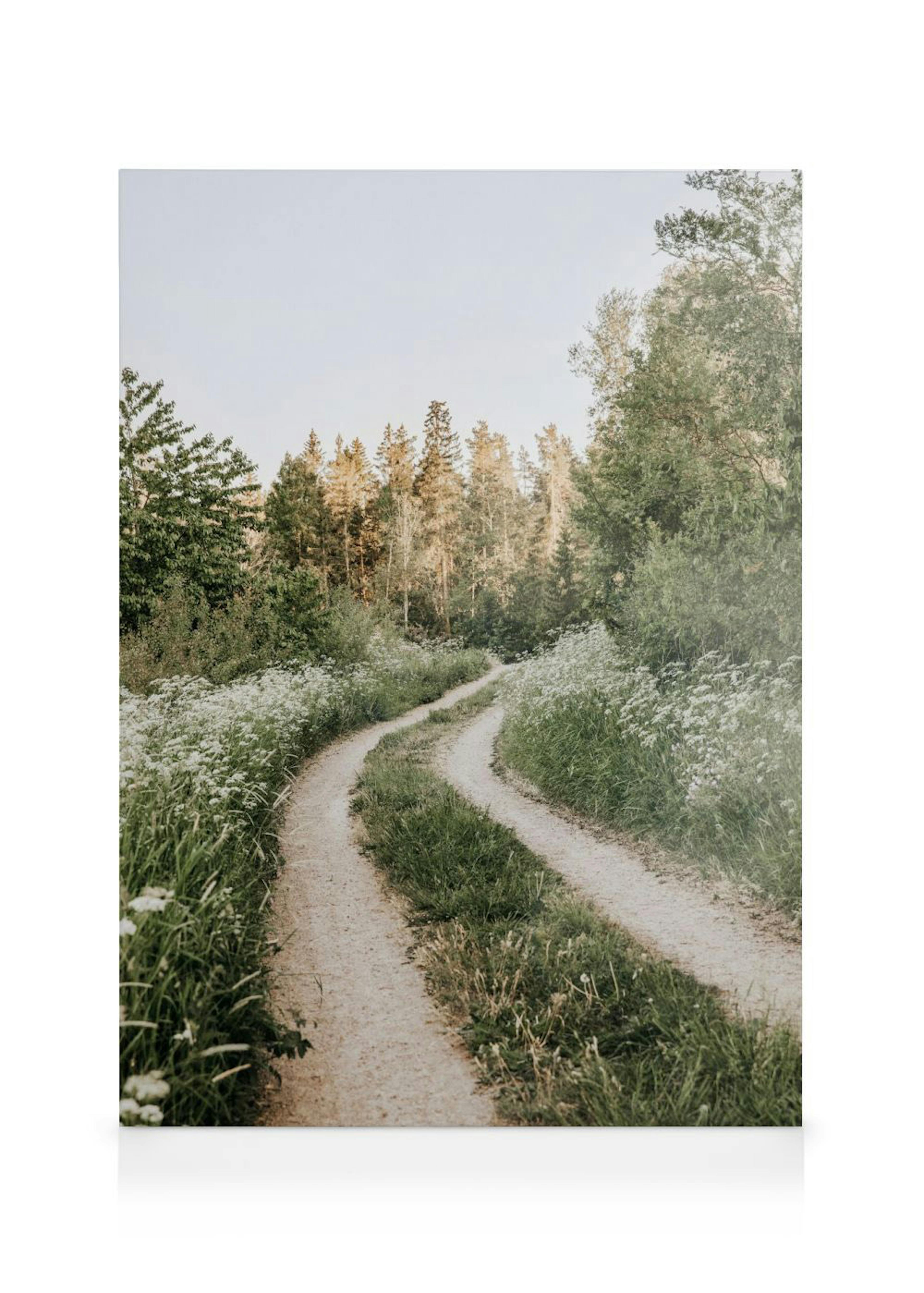 Lerretsbilde av en grusvei som slynger seg gjennom grønt gress med hvite blomster og furutrær i bakgrunnen.