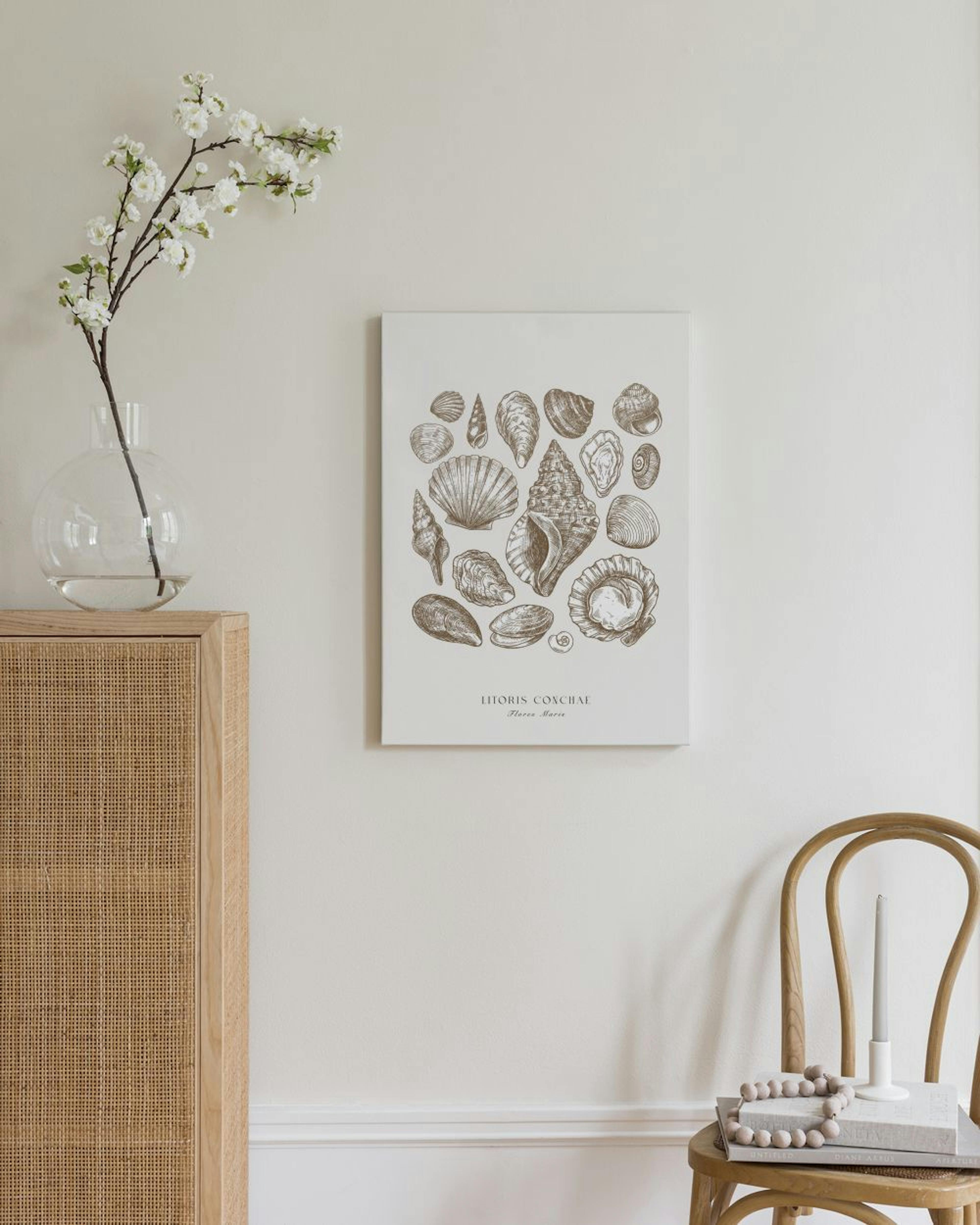 Beach Shells Toile thumbnail