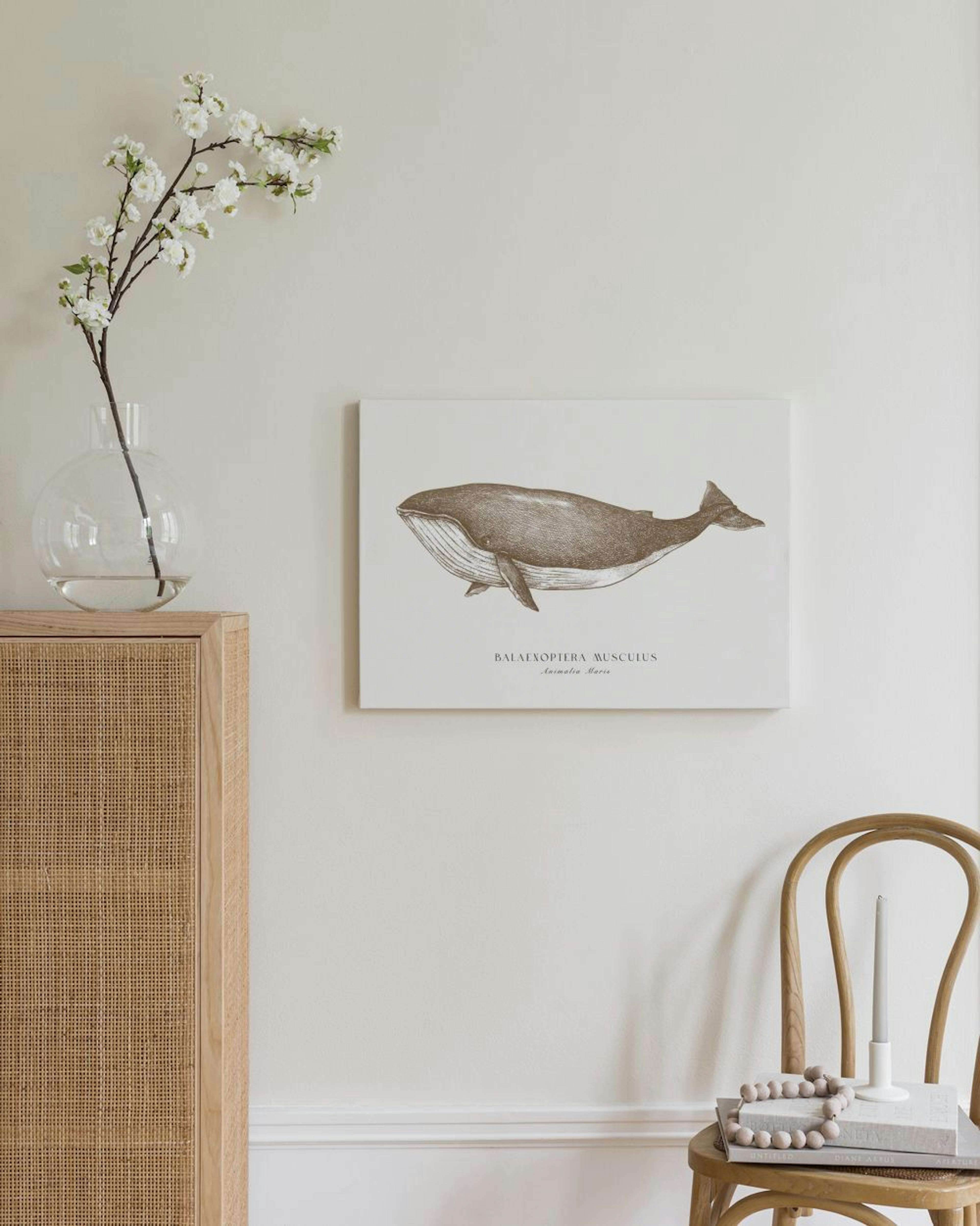 Blue Whale Toile thumbnail