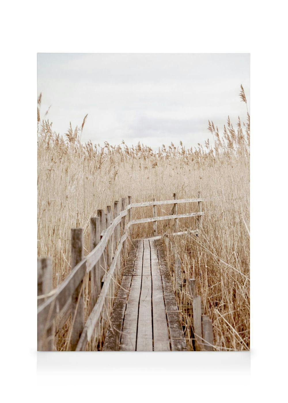 Canvas van een houten vlonderpad door een veld van droog riet onder een grijze lucht.