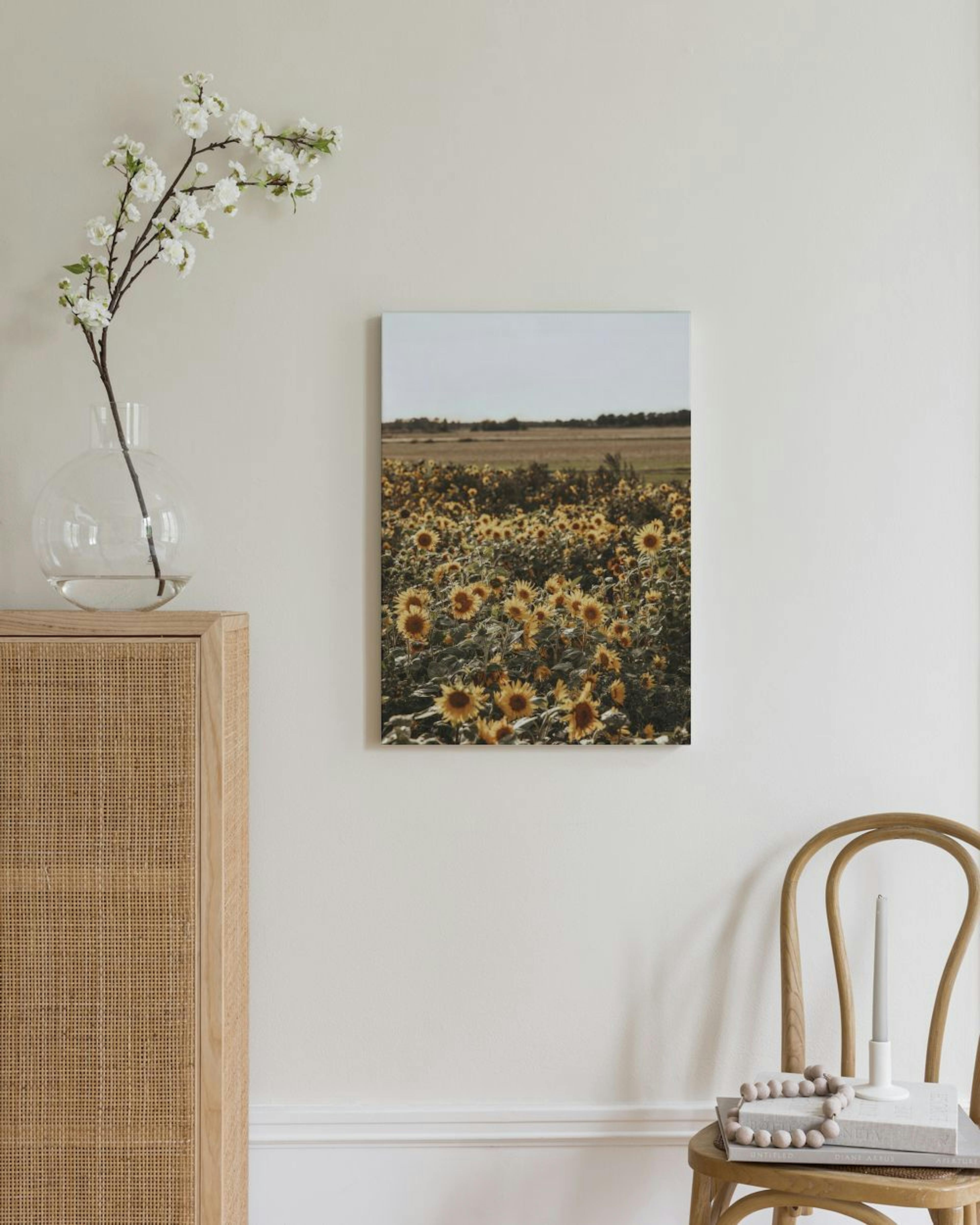 Field of Sunflowers Canvas print thumbnail