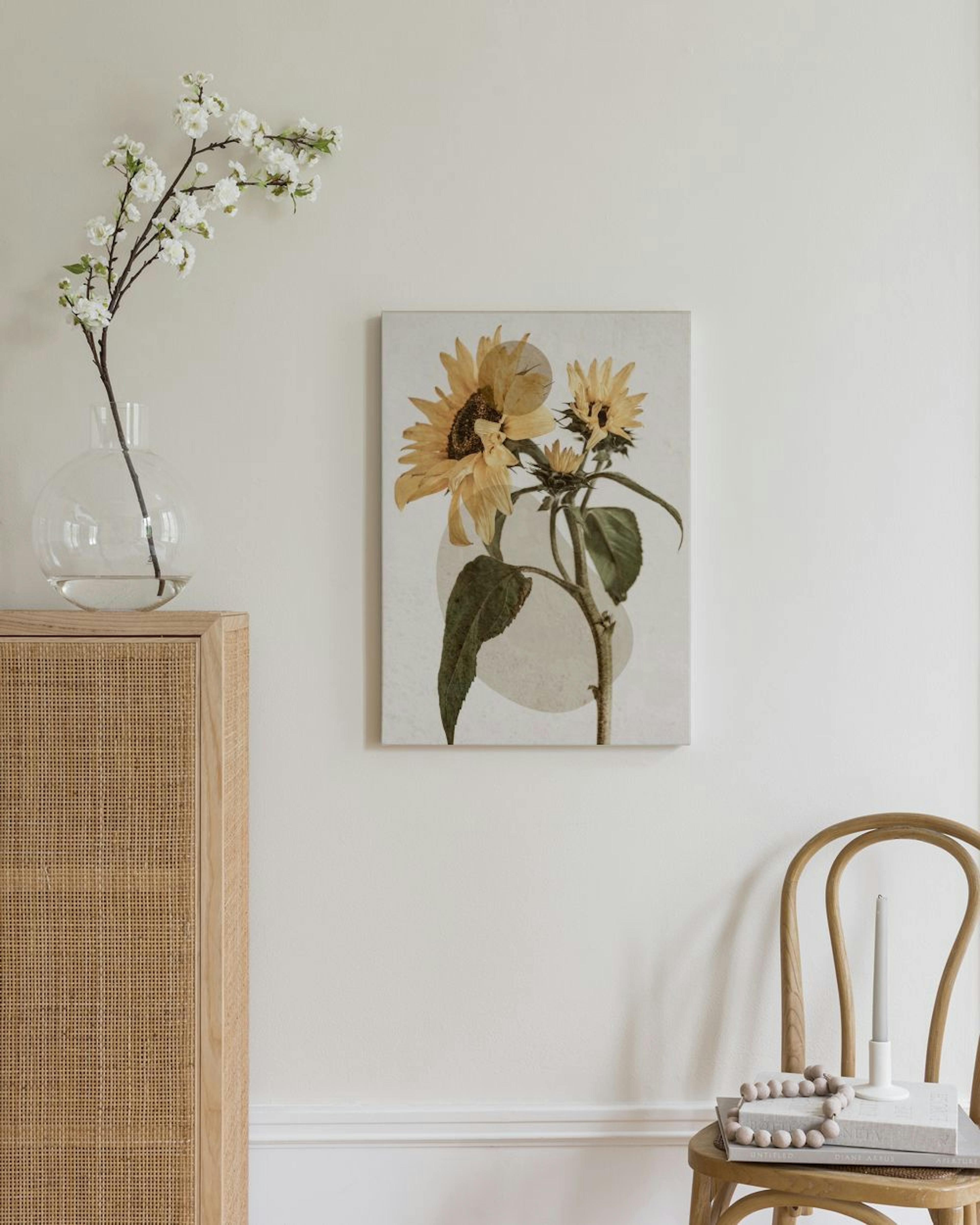 Sunflower Constellation No2 Canvas print thumbnail