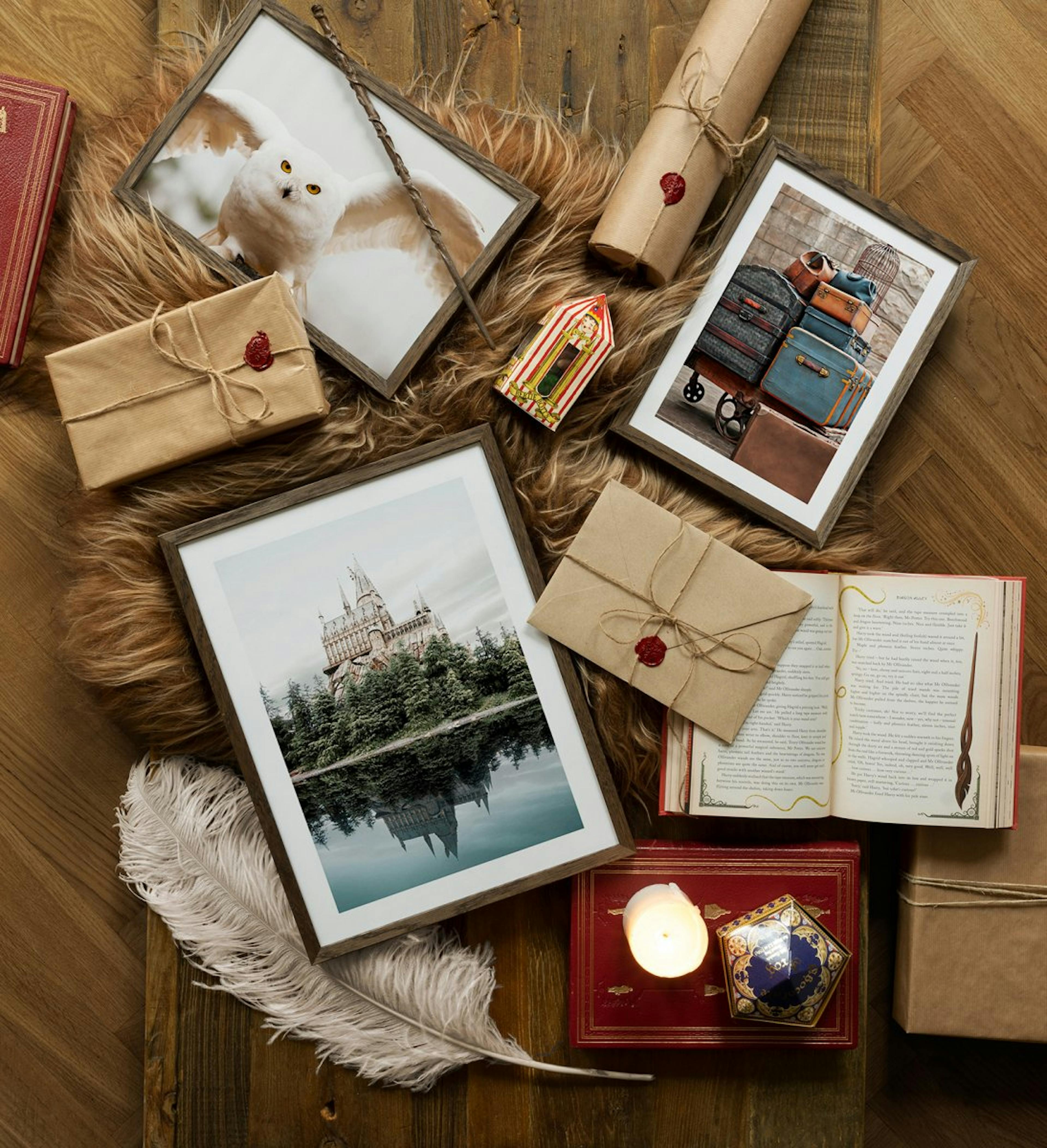 A magical collection of posters with inspiration from movies with photographs of an owl, a castle and trolleys with dark oak fra
