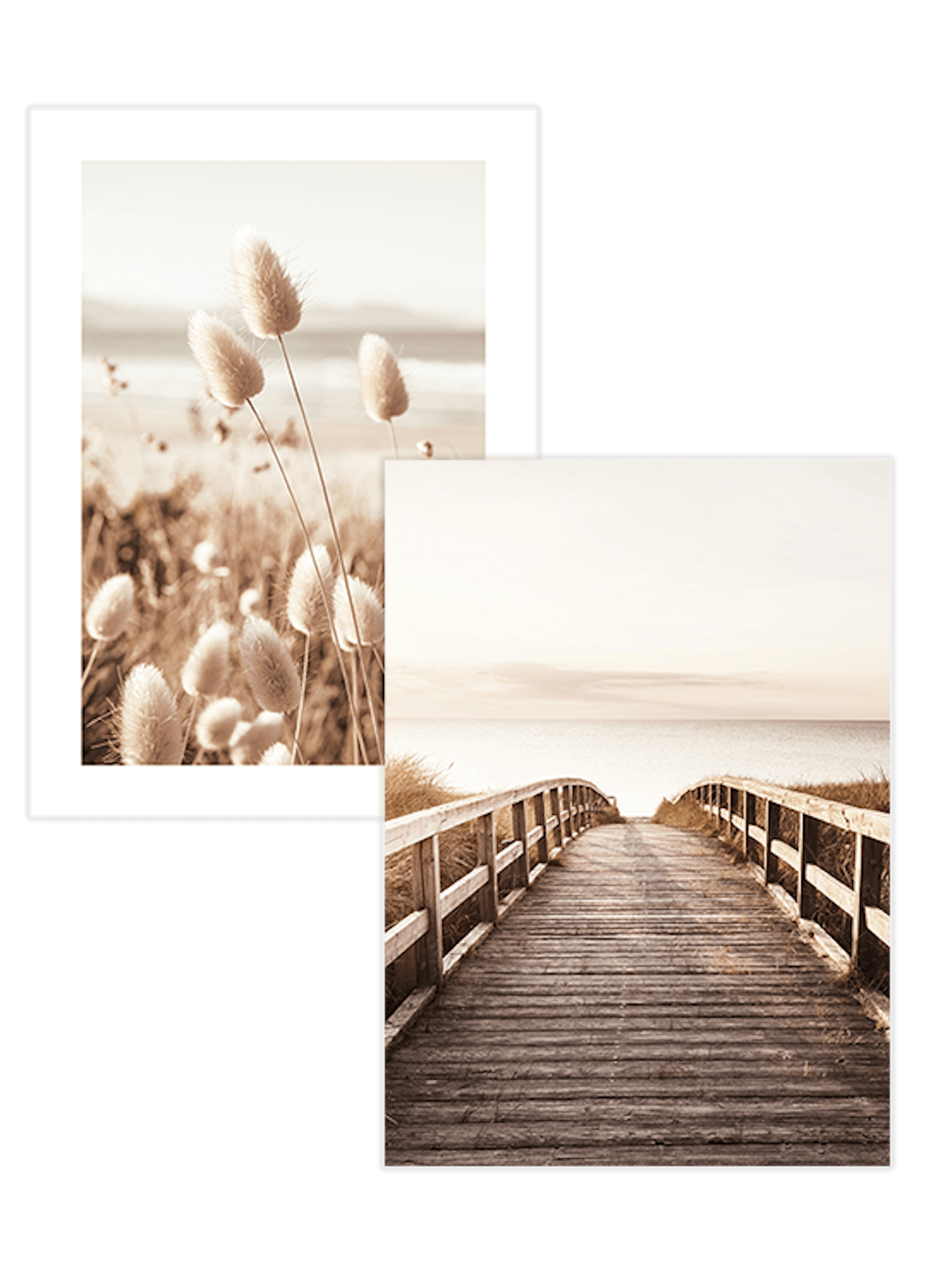A poster pack featuring two nature prints: fluffy bunny tail grass and a wooden boardwalk leading to the sea.