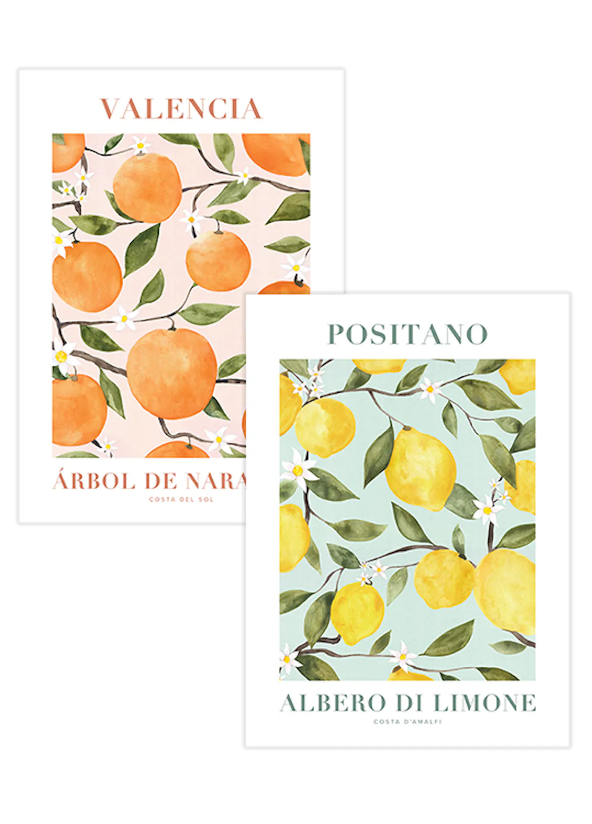 Citrus Duo Poster Pack with Citrus Kitchen Poster | Poster Store US