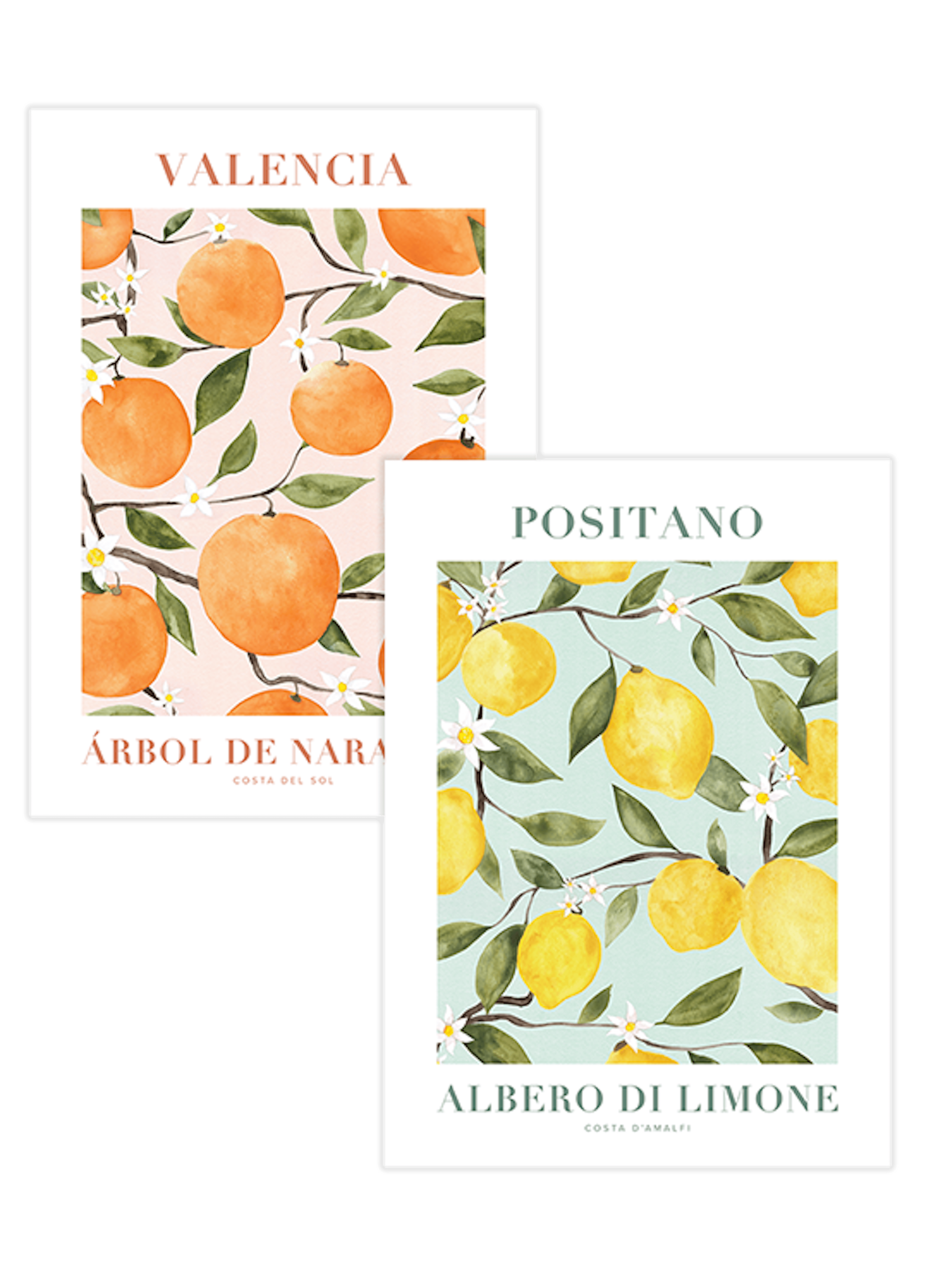 Ein Posterset mit zwei Postern: eines mit Orangen auf rosa Hintergrund, das andere mit Zitronen auf mintgrünem Hintergrund.