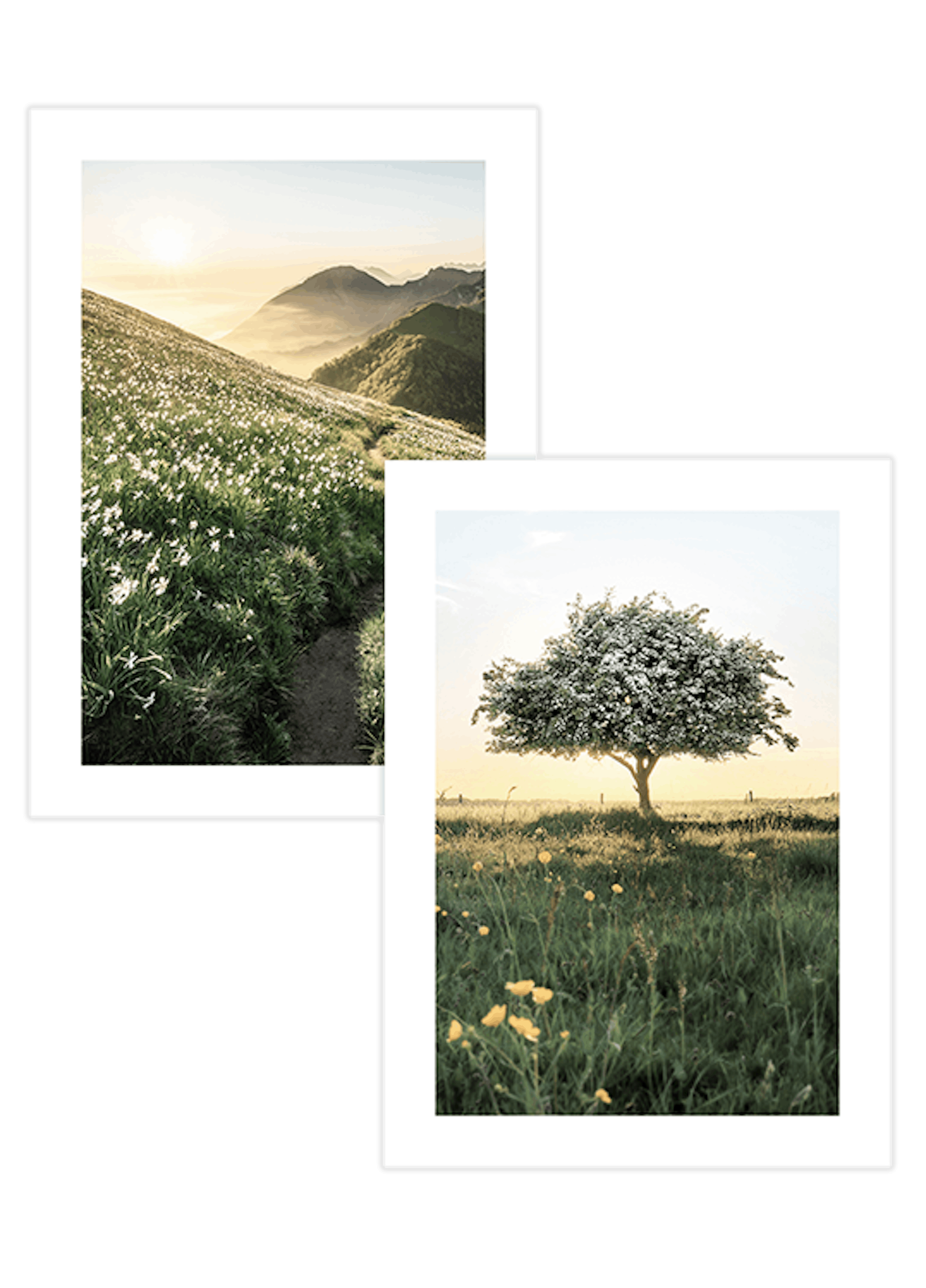 Pacchetto Poster Duo Estivo in Verde thumbnail