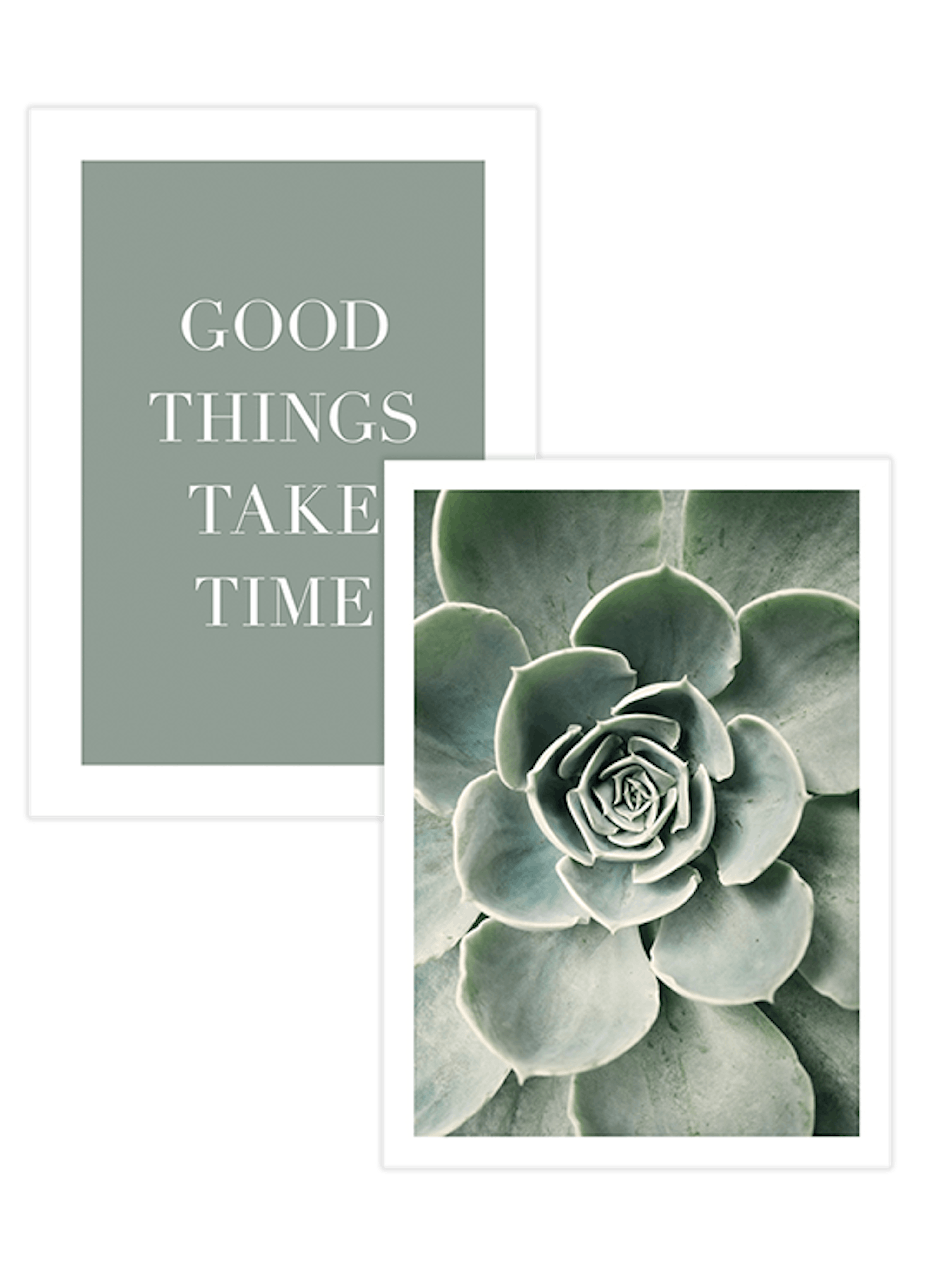 Ett posterpaket med två tavlor; en med texten GOOD THINGS TAKE TIME på grön bakgrund och en närbild på en grön suckulent.