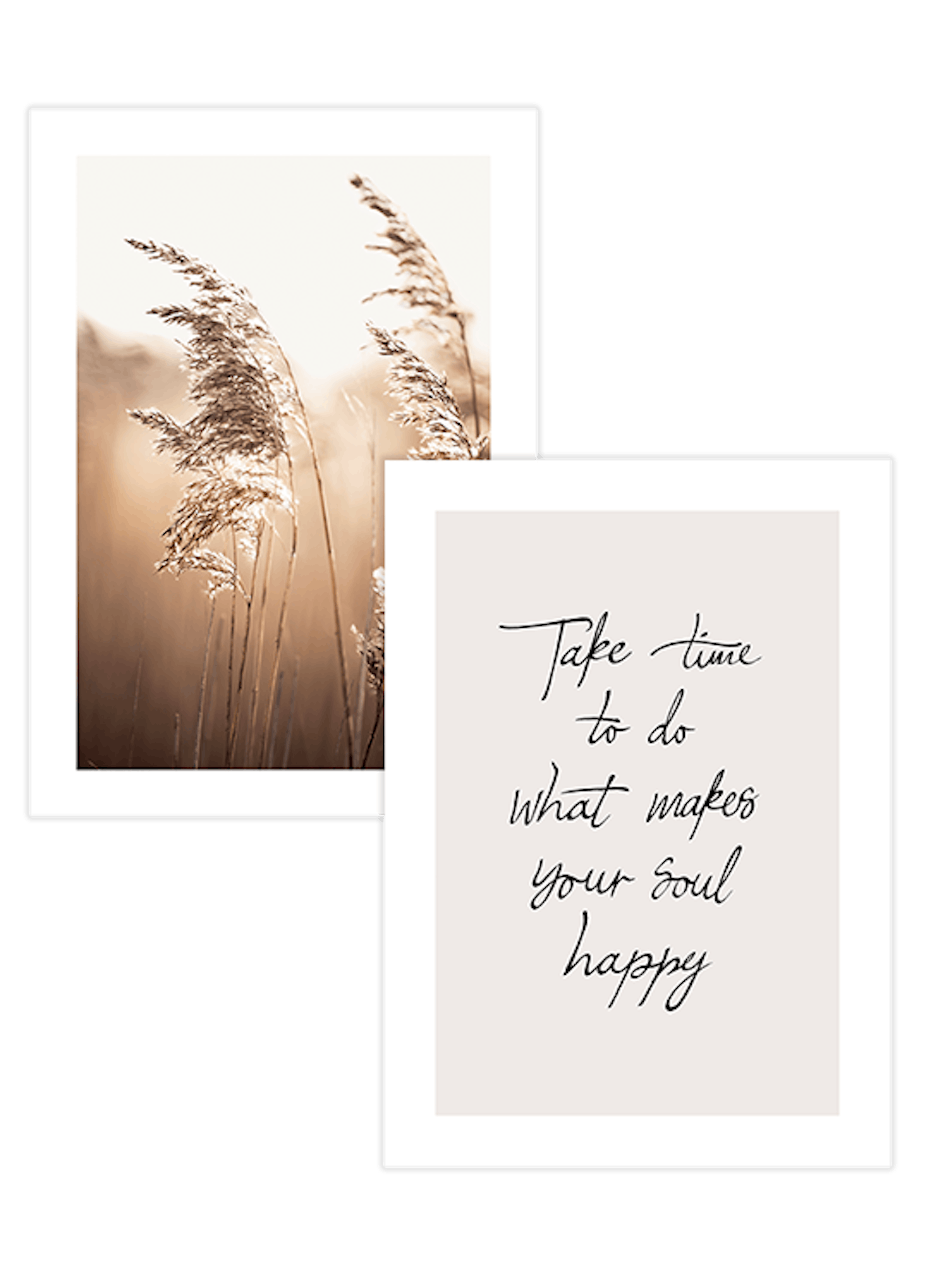 Paquetes de pósters con una pampa de hierba brillante y una cita inspiradora en un mural de cuadros.