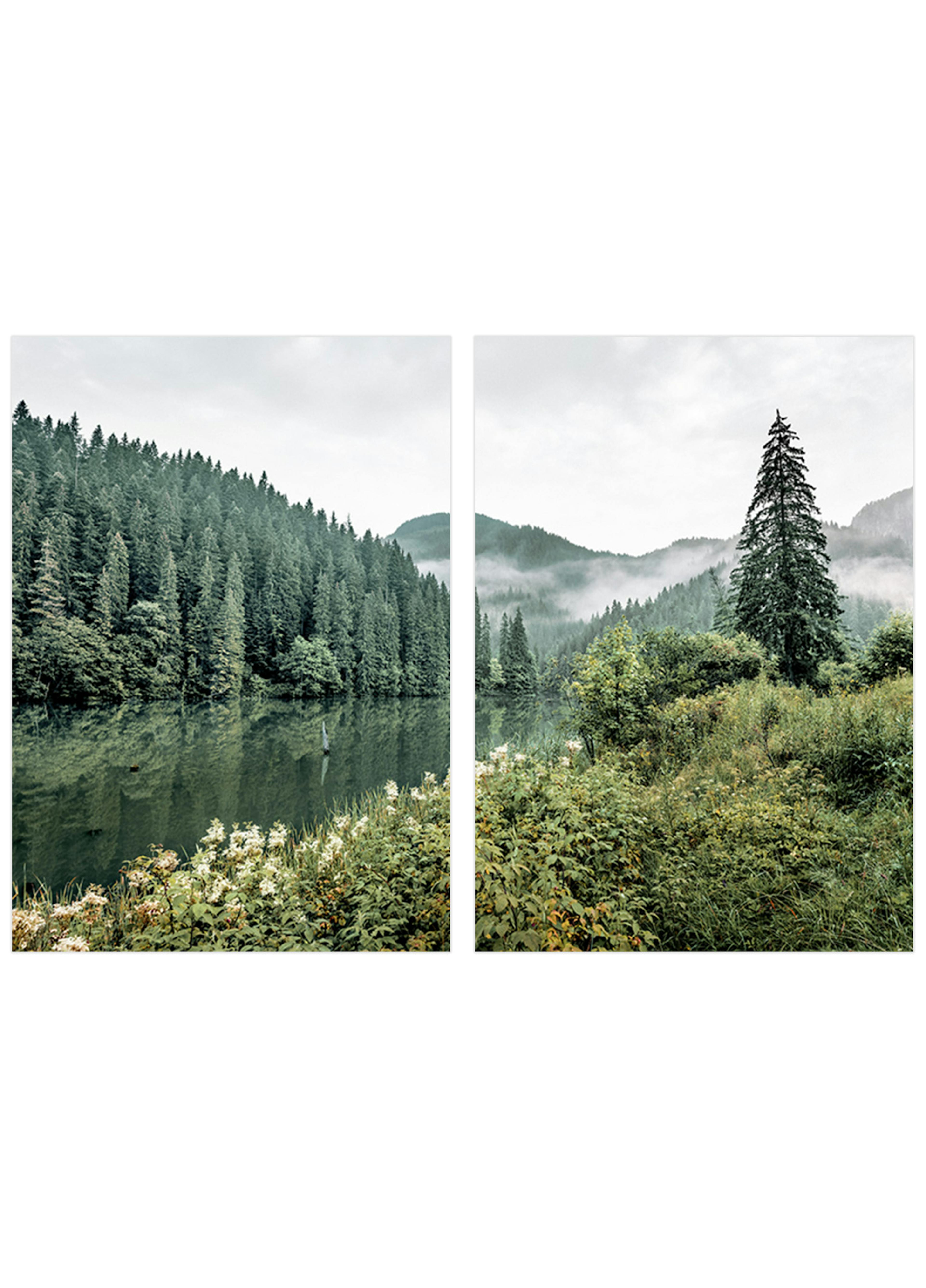 Boslandschap Postersets thumbnail