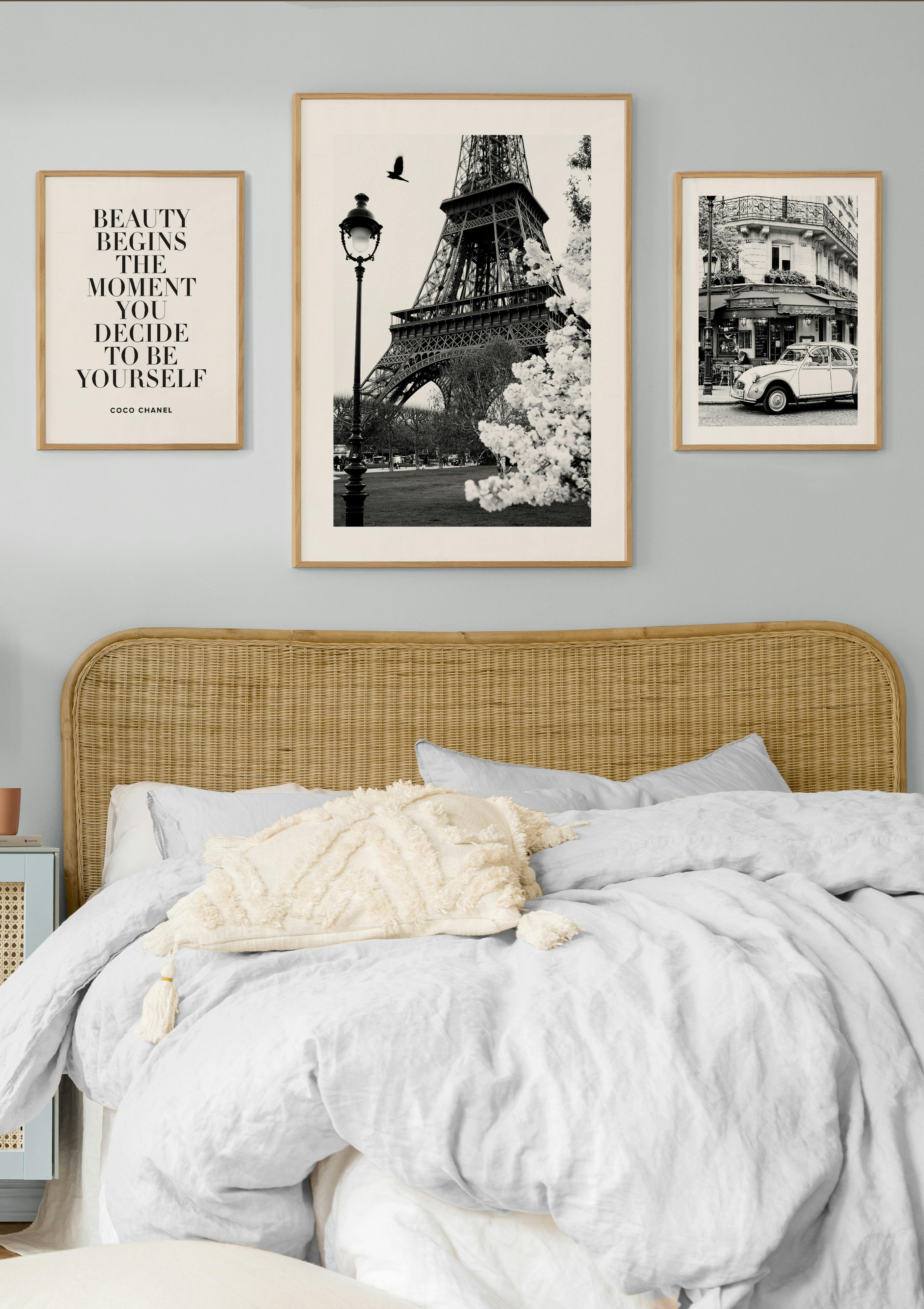 Paris Poster pack (ONE SIZE) - Poster Store
