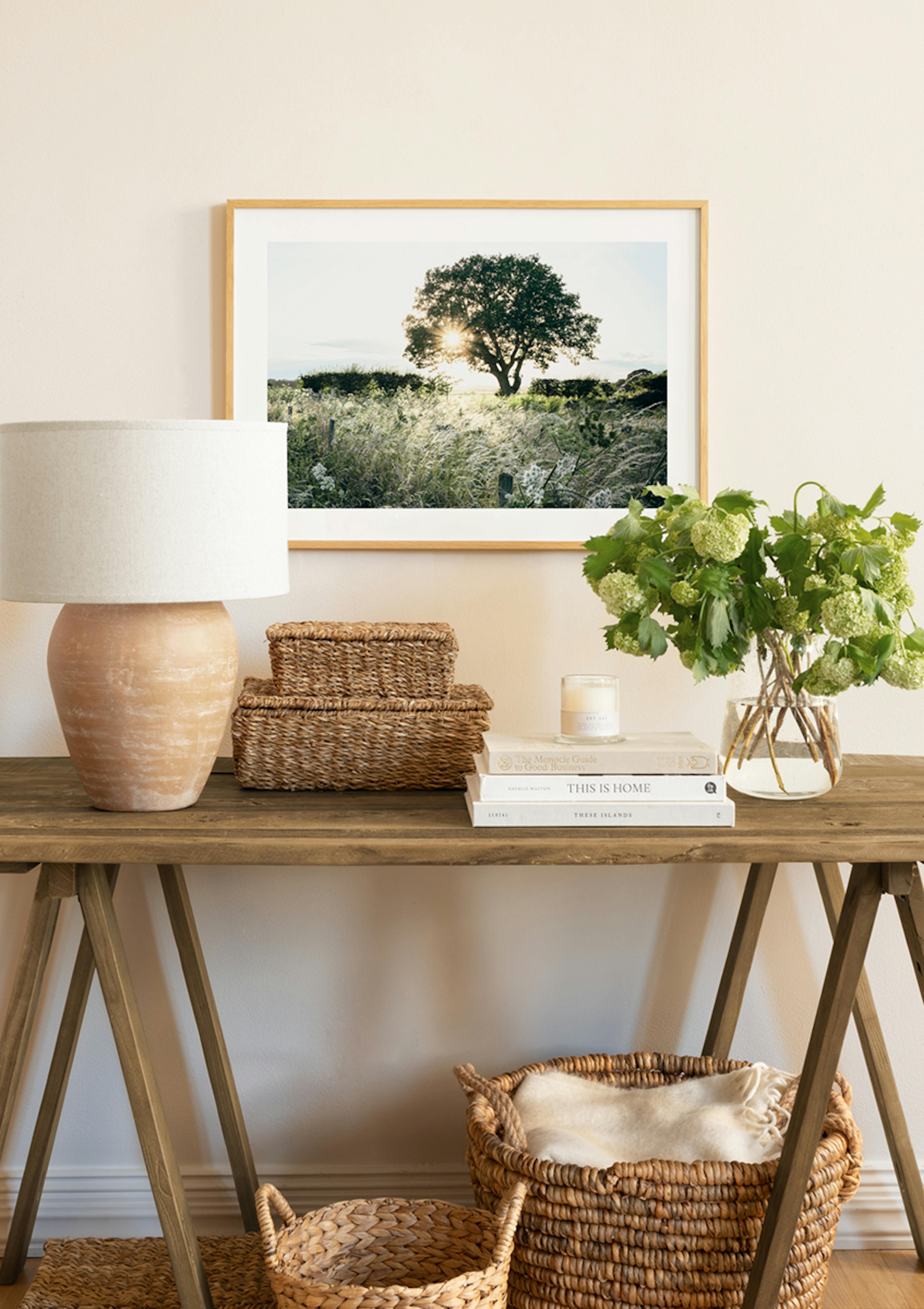 Sunset Behind Tree Poster thumbnail