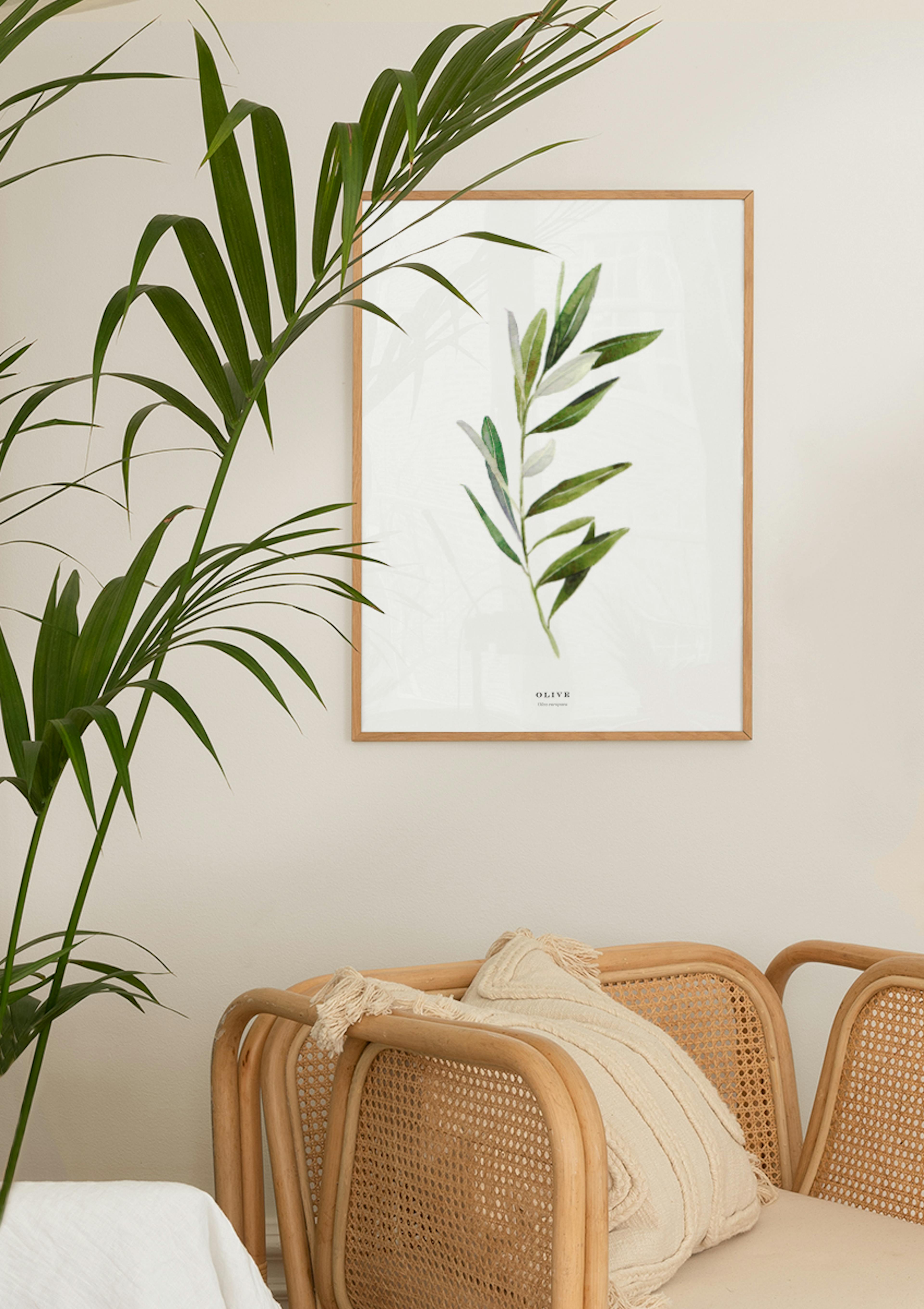 Olive Poster thumbnail