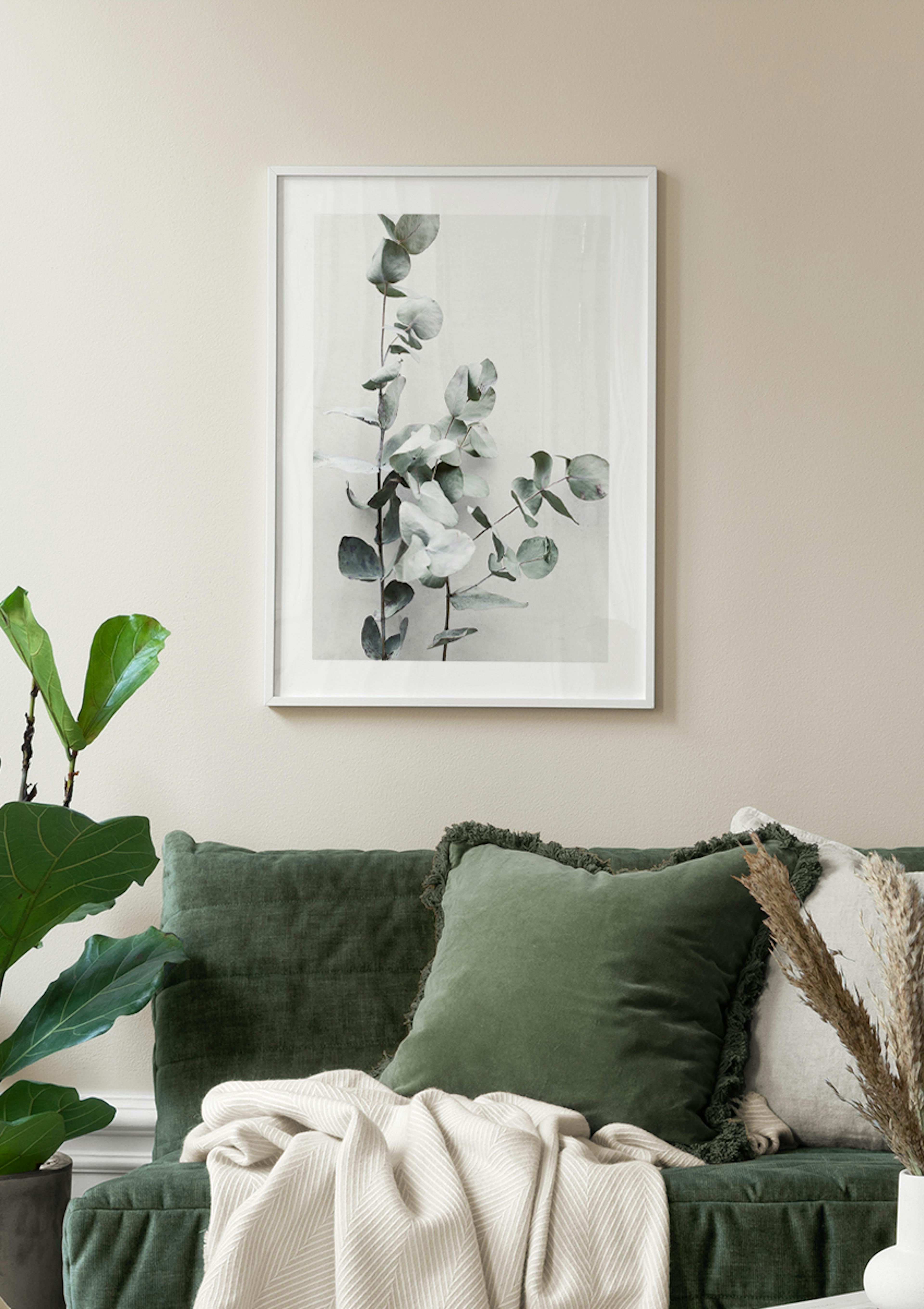 Eucalyptus Branch Poster thumbnail