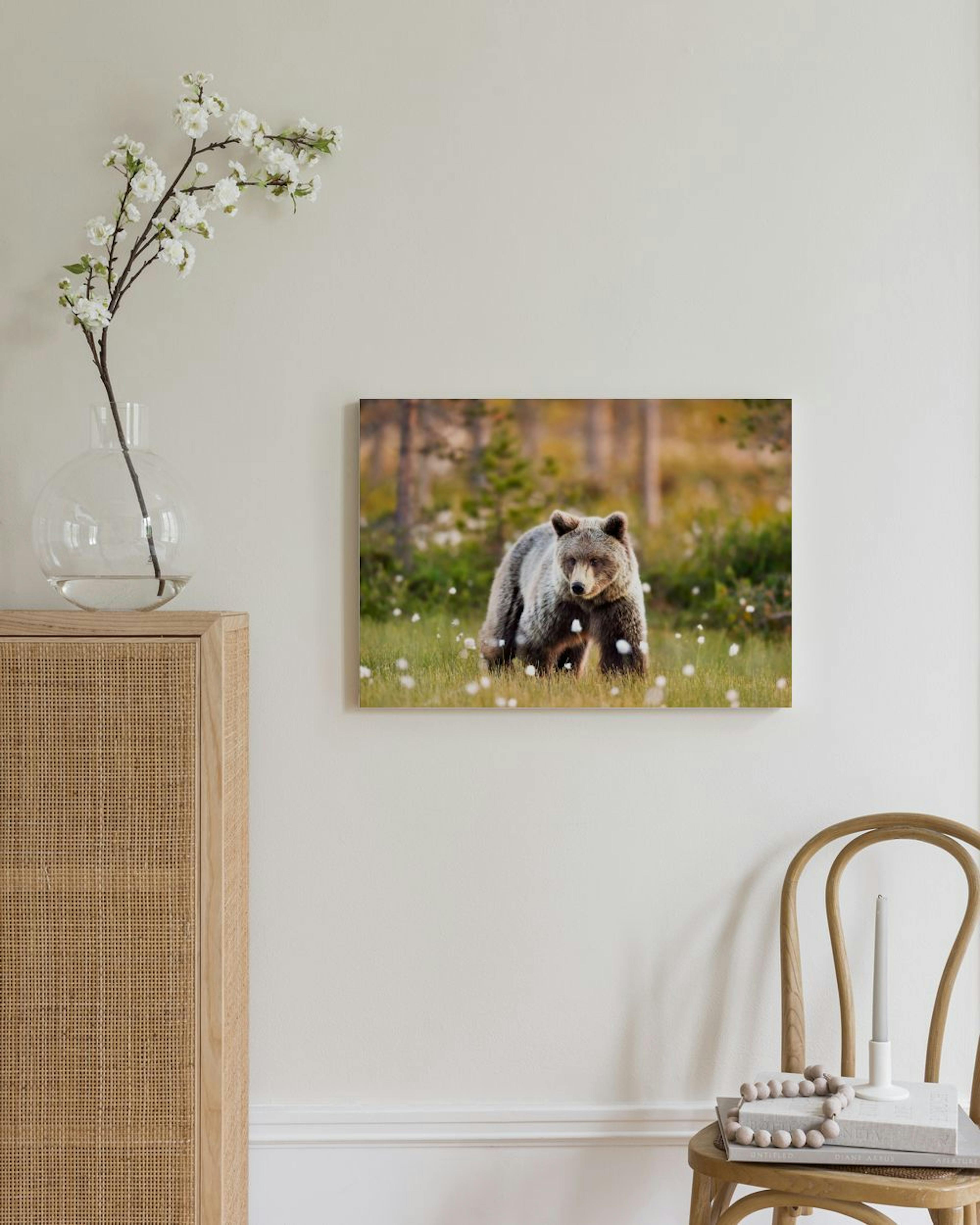 Ours dans la Prairie Toile thumbnail