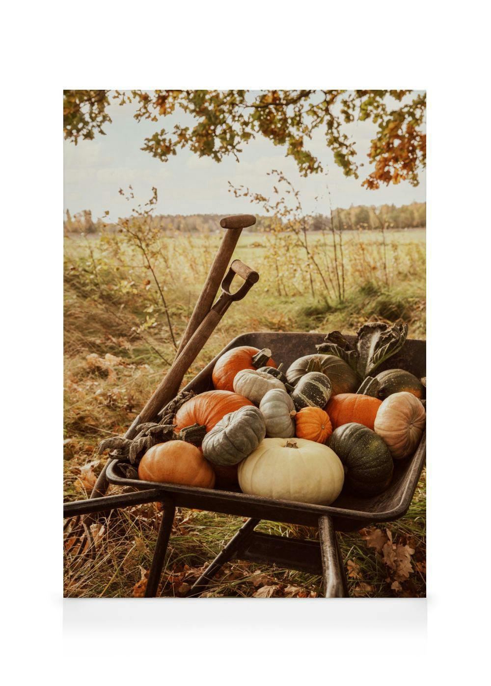 A canvas showing a wheelbarrow filled with diverse pumpkins and squashes, with a shovel, in an autumn field.