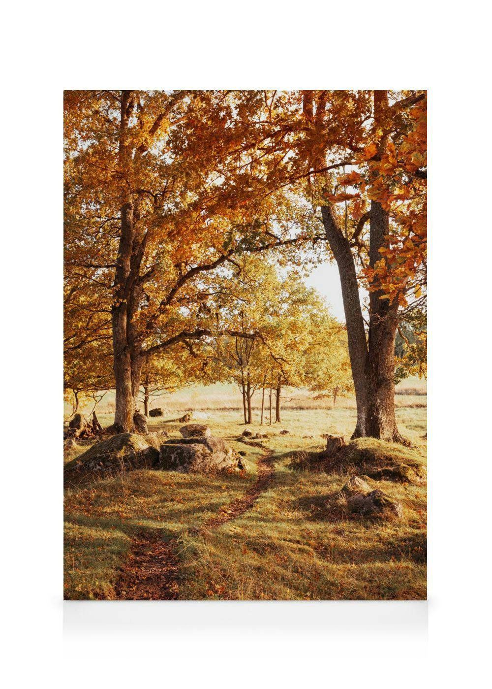 Warm Grove Canvas (50x70 cm - Fotolijst Eiken) - Poster Store
