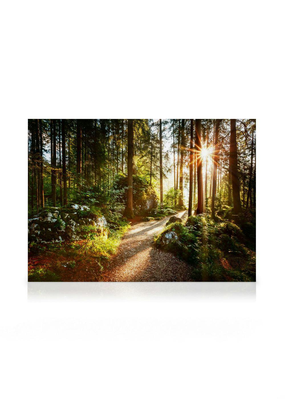 Forest Pathway Canvas print (30x40 cm - Black Frame) - Poster Store High Quality Picture Frames