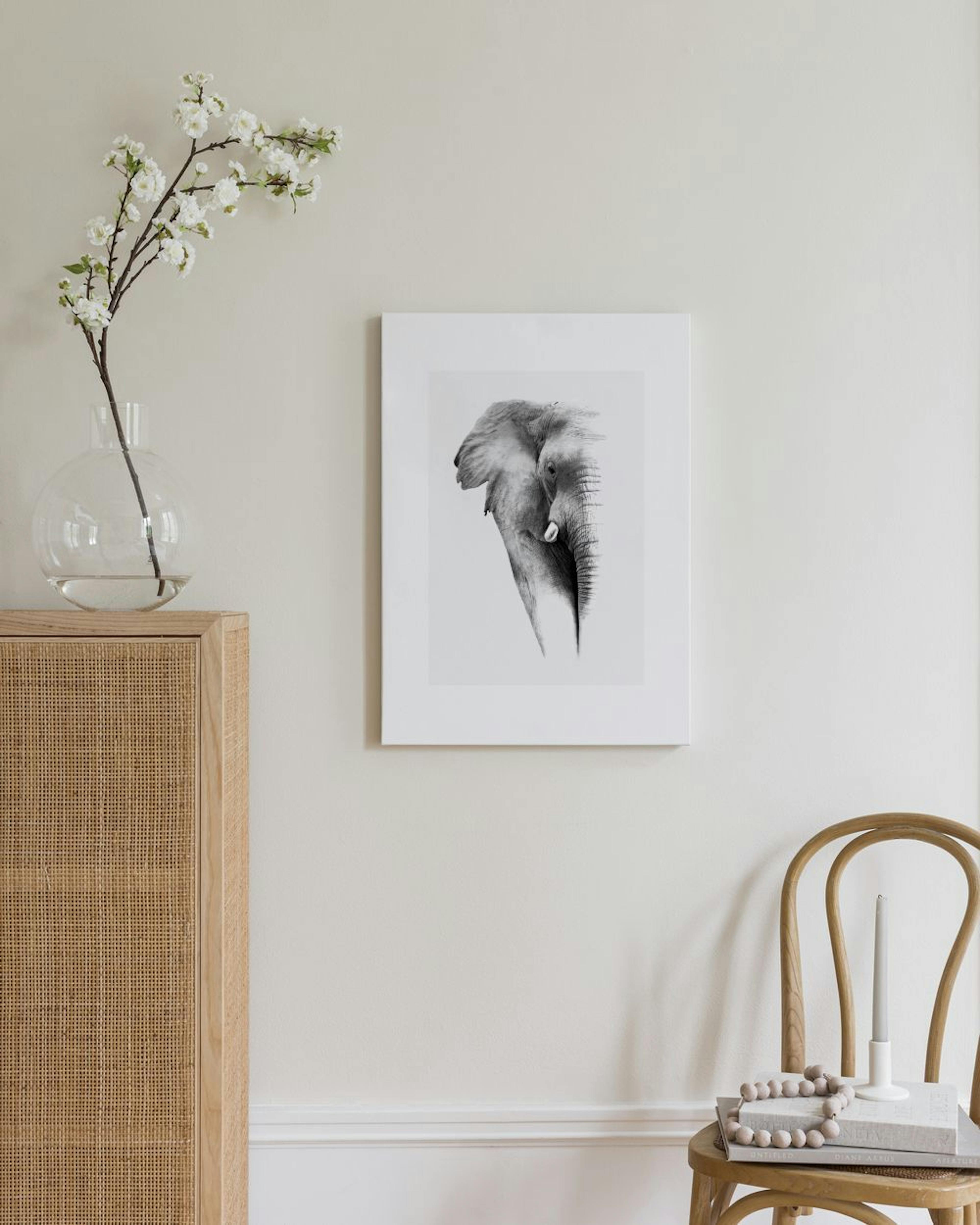 Elephant Canvas Print thumbnail