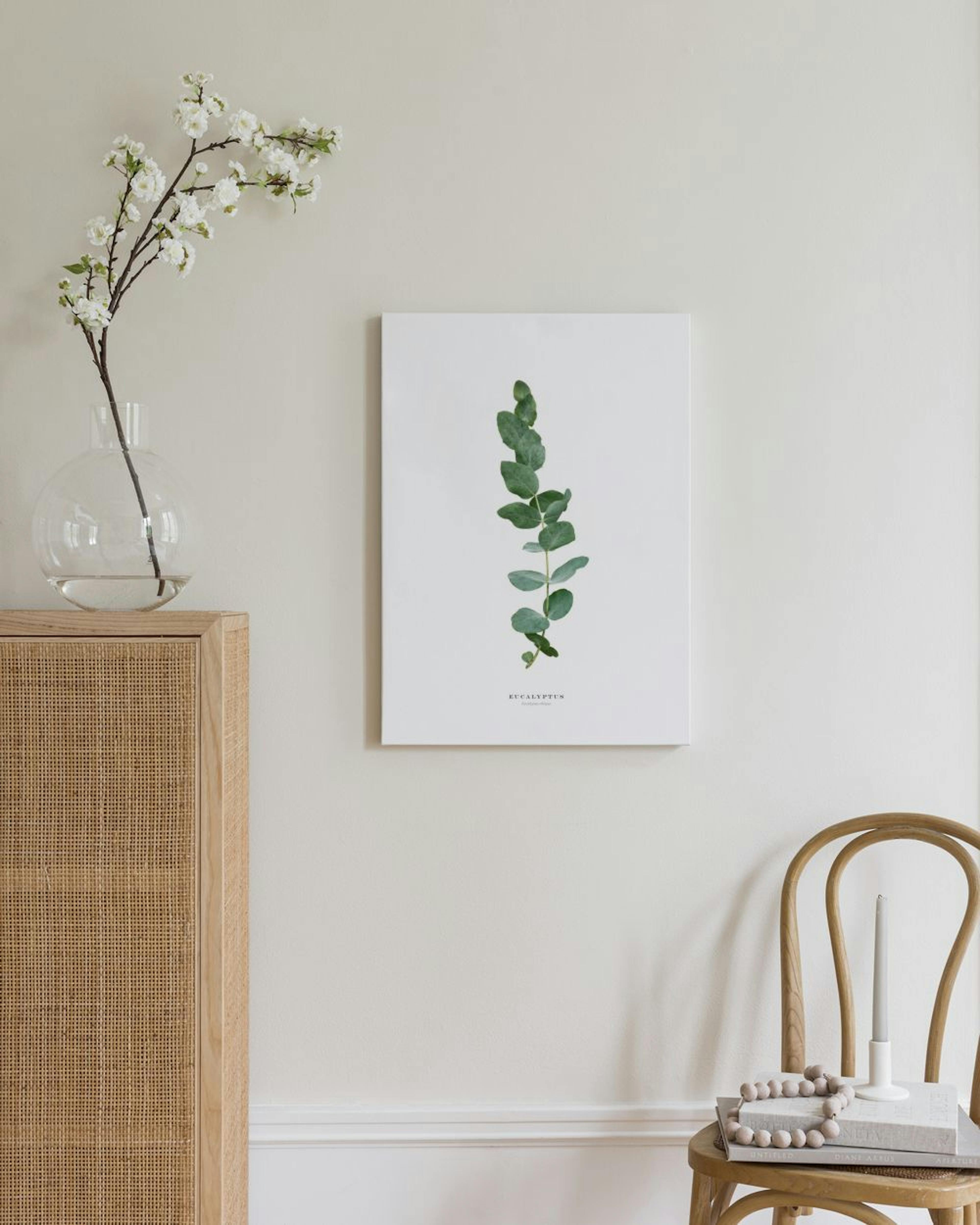 Eucalyptus Toile thumbnail