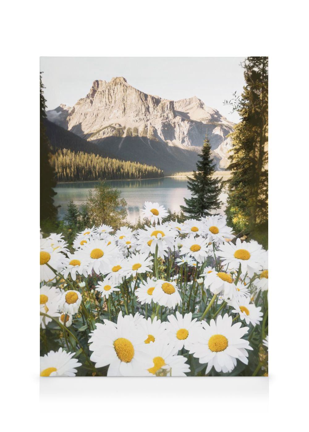 Bergblumen Leinwandbild Landschaft Poster Store DE bergblumen-leinwandbild-landschaft-poster-store-de