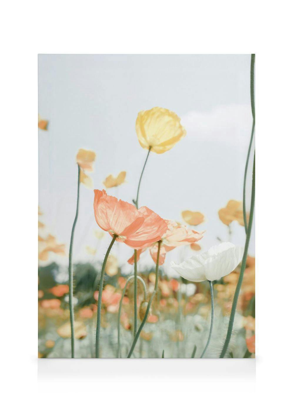 Stampa su tela di papaveri arancioni, gialli e bianchi in un campo fiorito sotto un cielo limpido.