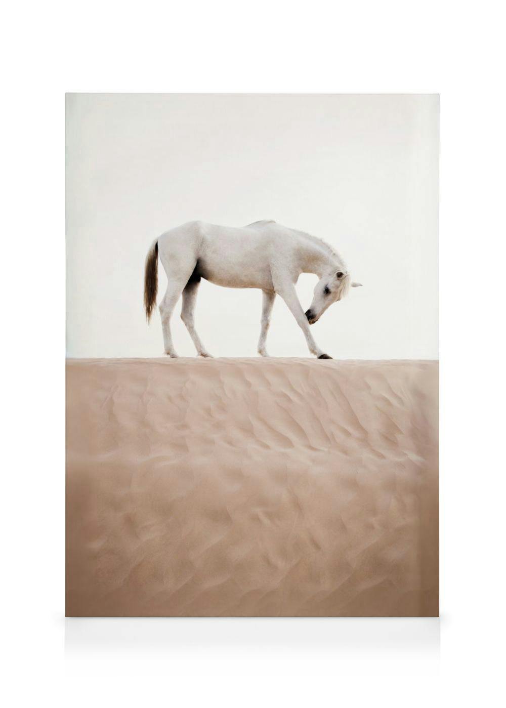 Woestijnpaard Canvas (70x100 cm - Fotolijst Eiken) - Poster Store
