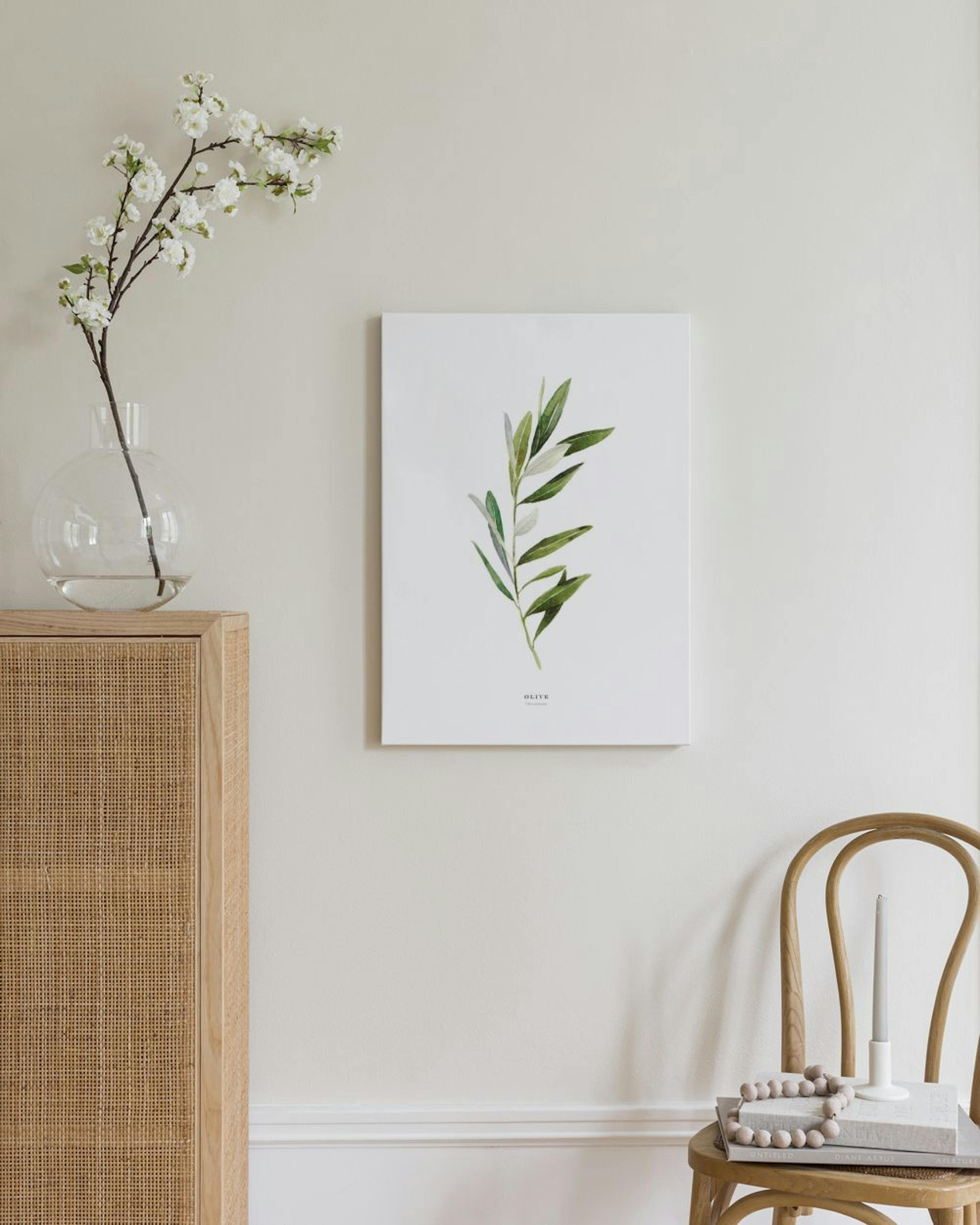 Olive Toile thumbnail