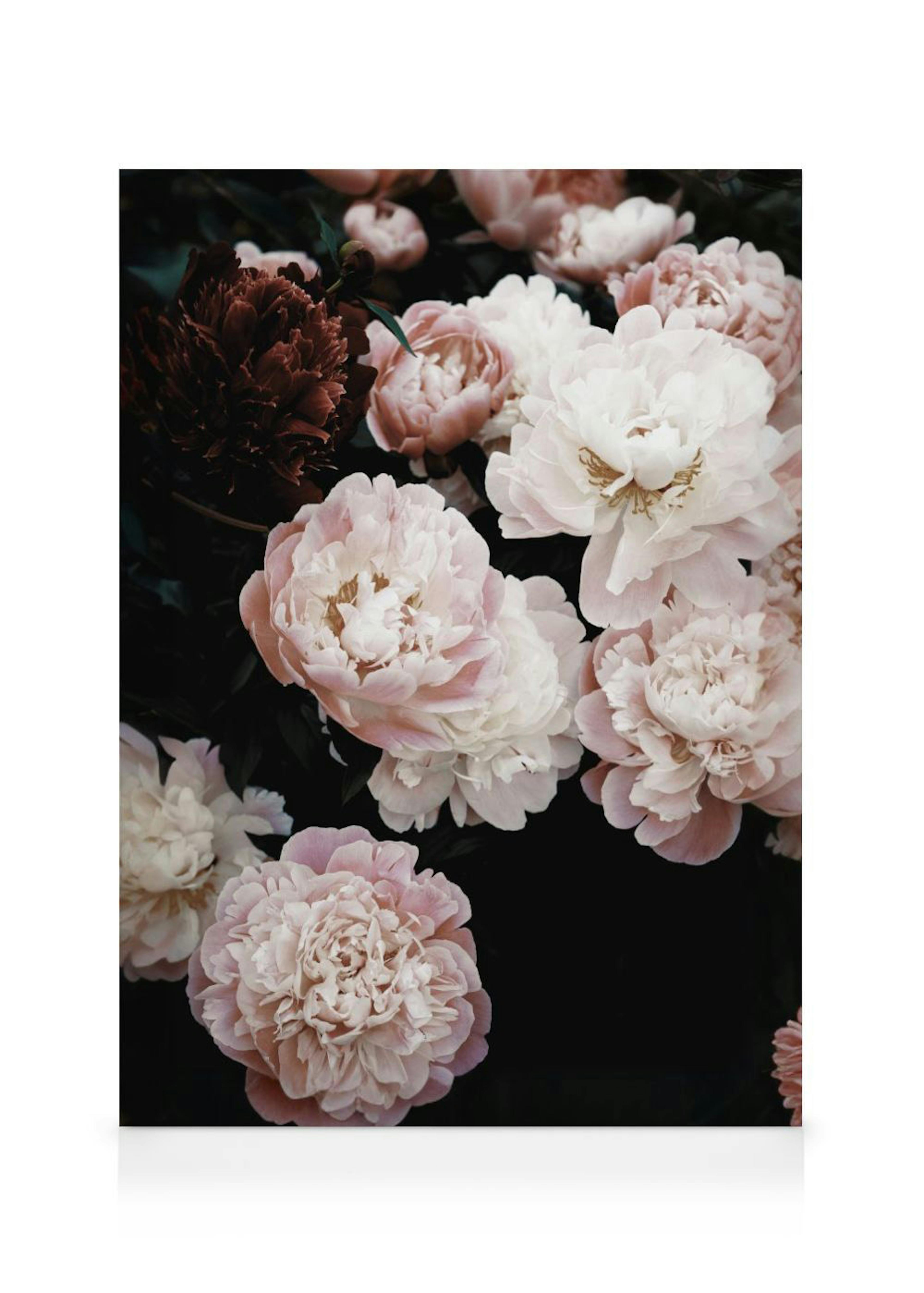 Spring Peonies Leinwand 0