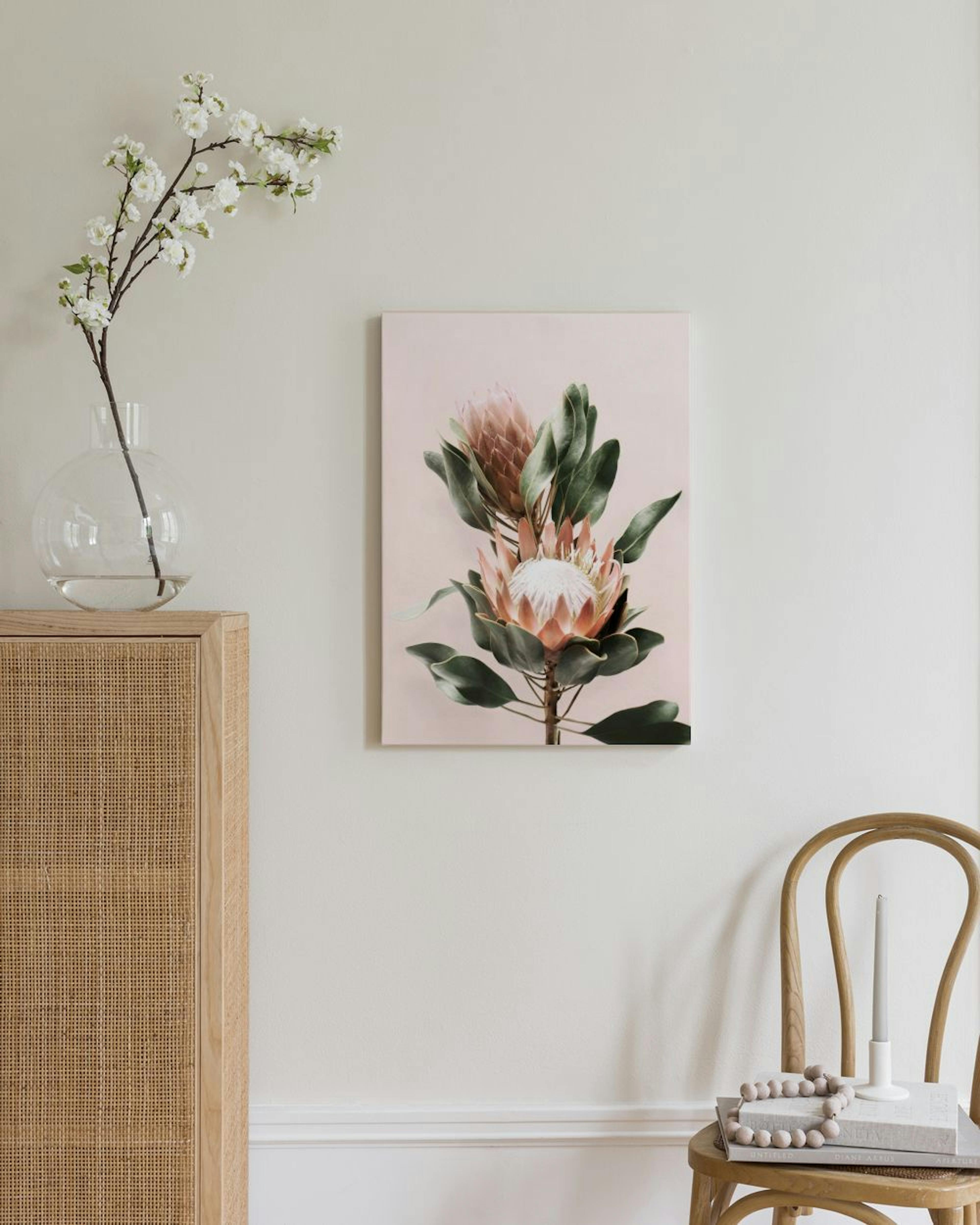 Protea Flowers Stampa su Tela thumbnail