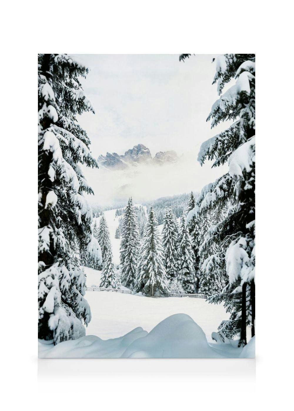Canvas Prints - Winter Valley Canvas print (50x70 cm - Oak Frame) - Poster Store