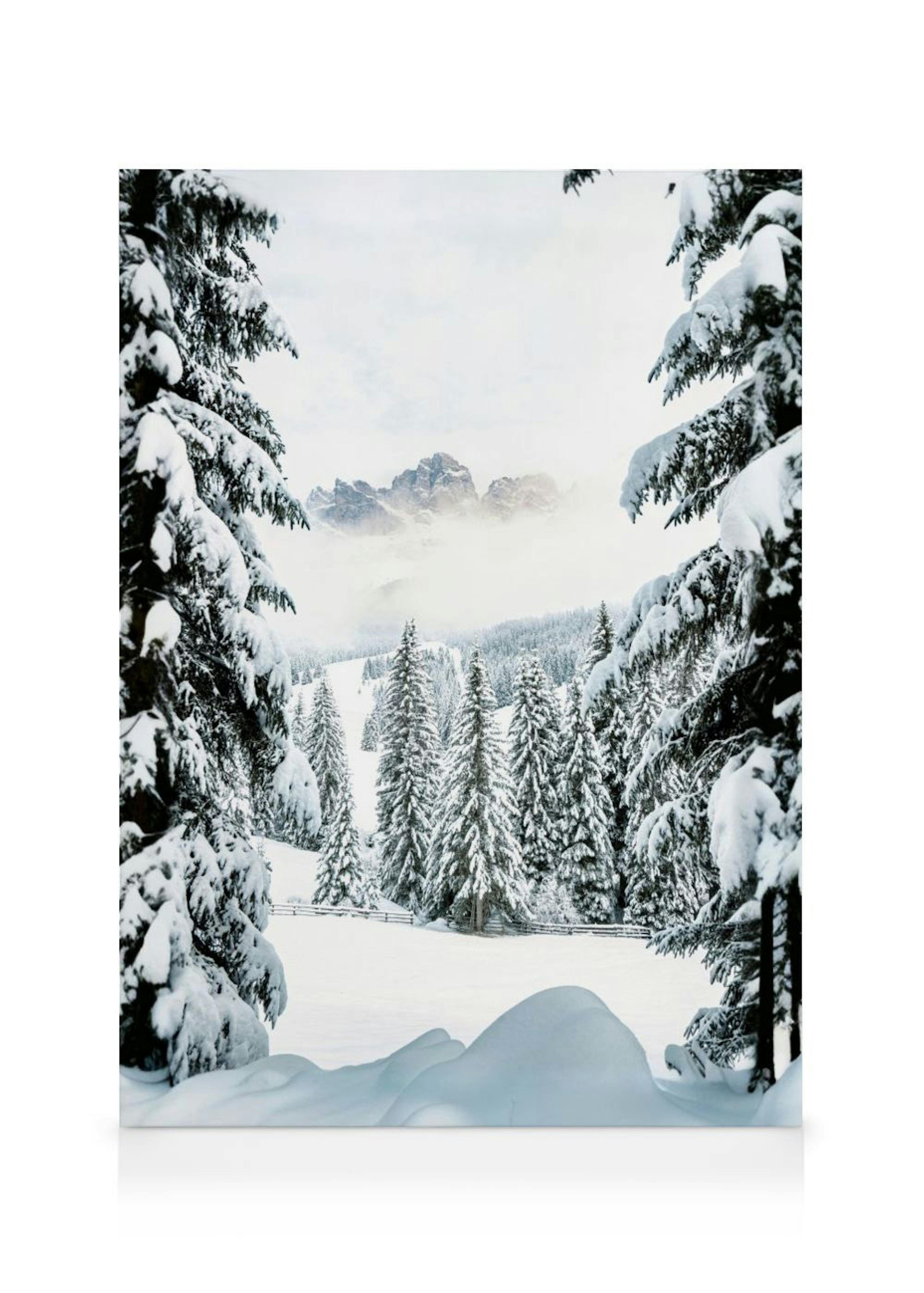 Stampa su tela di un paesaggio invernale con abeti innevati in primo piano e montagne in lontananza.