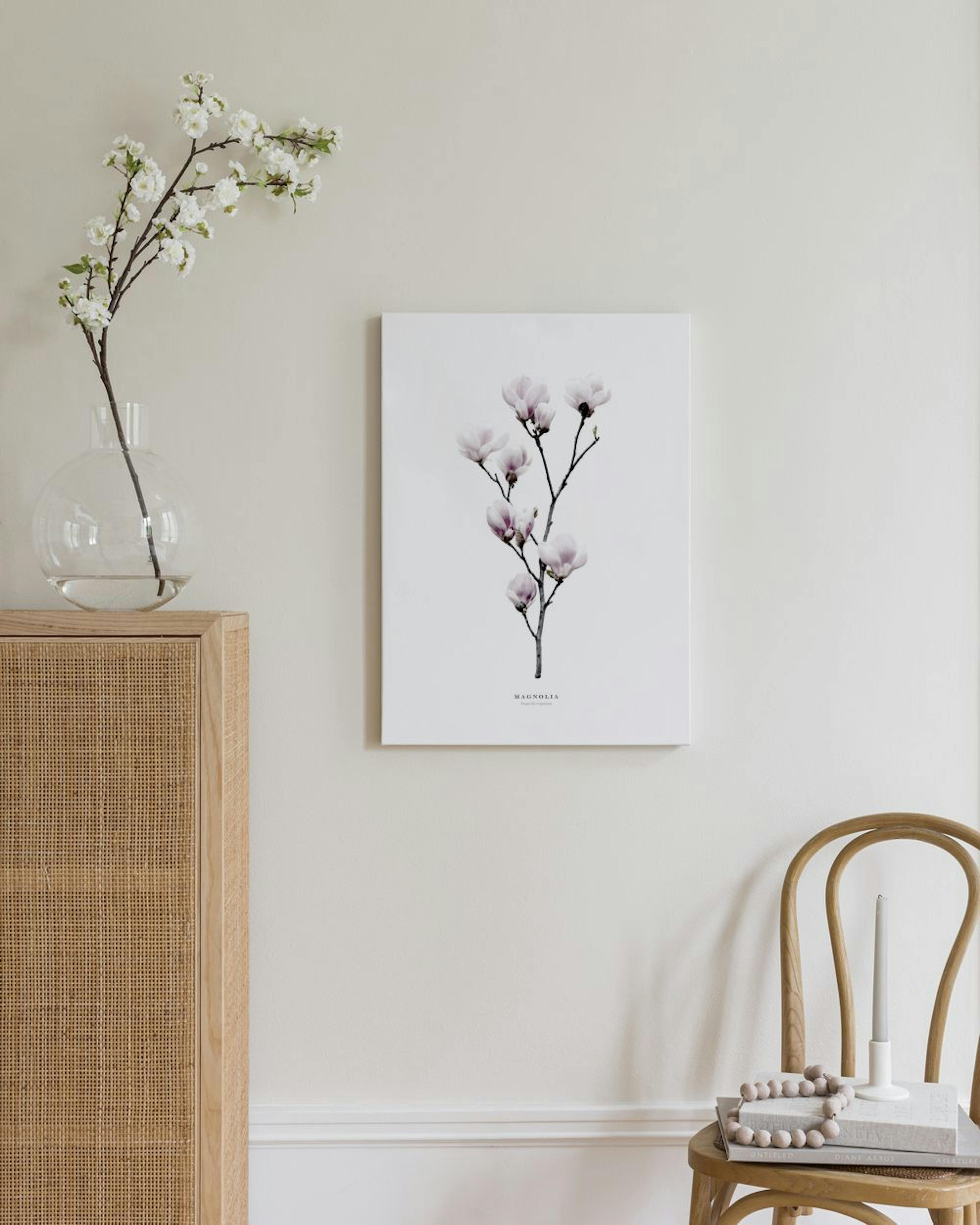 Magnolia Lienzo thumbnail