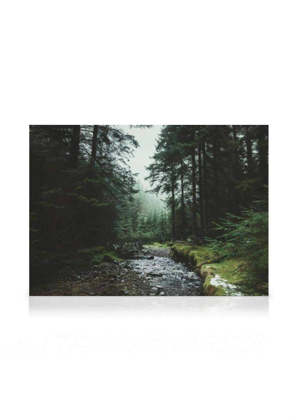 Voorjaar in Narnia Canvas (70x100 cm - Fotolijst Zwart) - Poster Store
