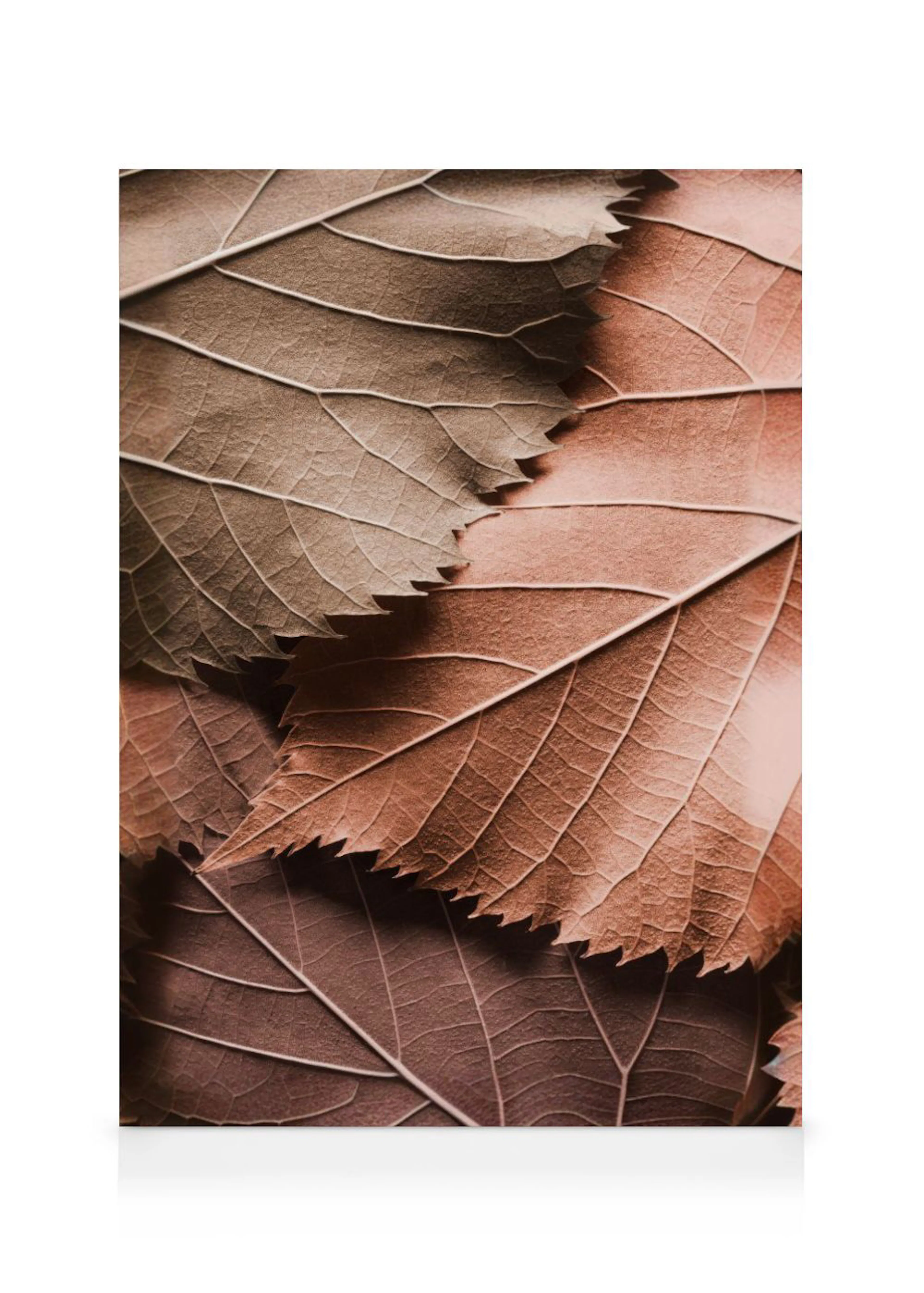 A close-up canvas of textured brown and reddish autumn leaves, highlighting their detailed veins and jagged edges.
