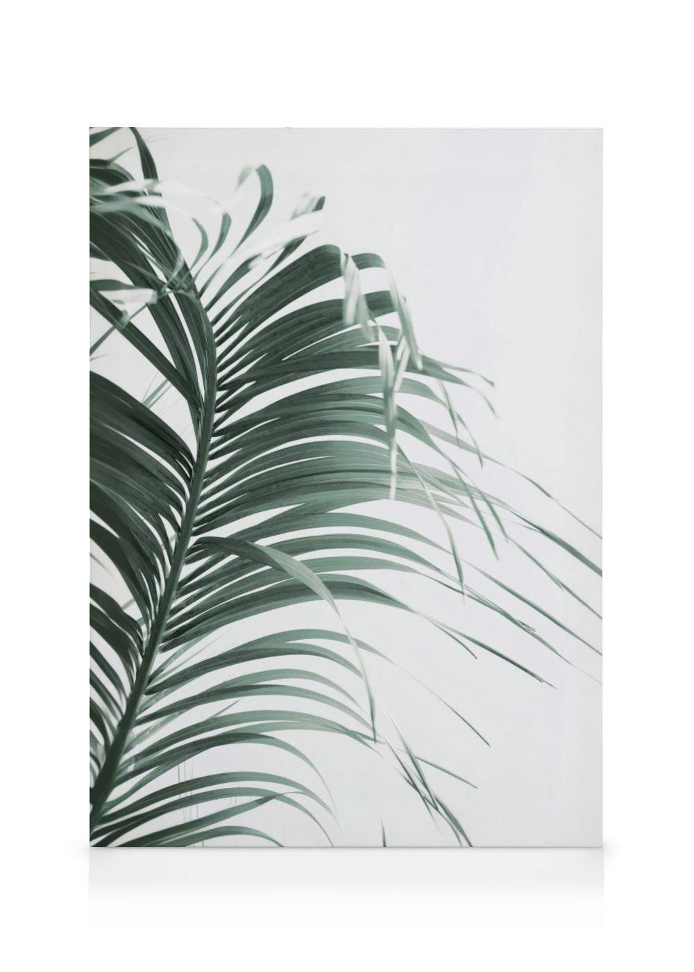 Groen Palmblad Canvas (70x100 cm) - Poster Store